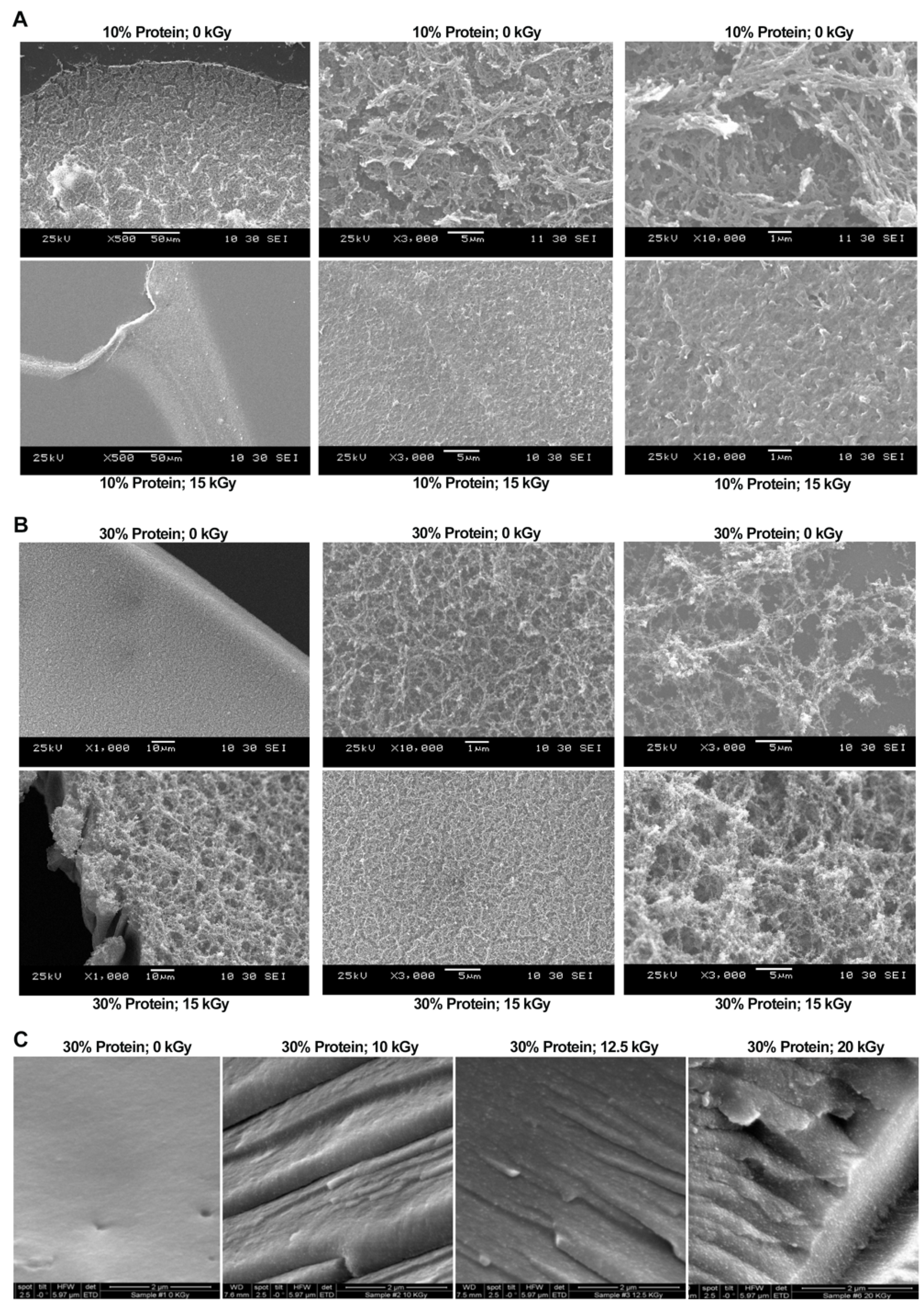 Polymers 14 03805 g003