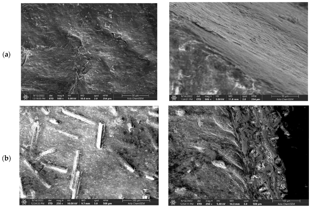 Polymers 14 04012 g003a