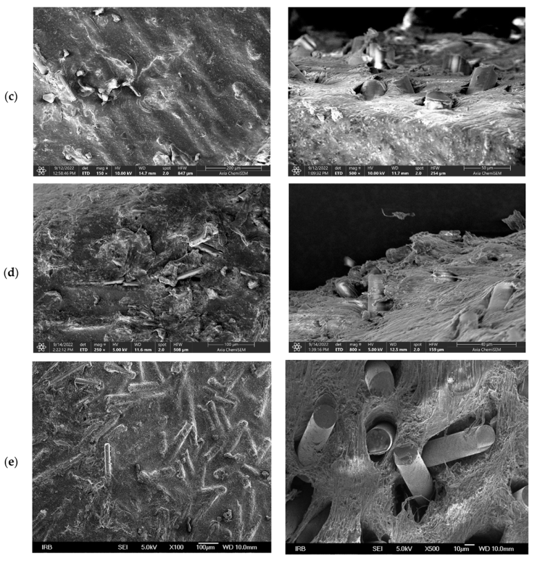 Polymers 14 04012 g003b