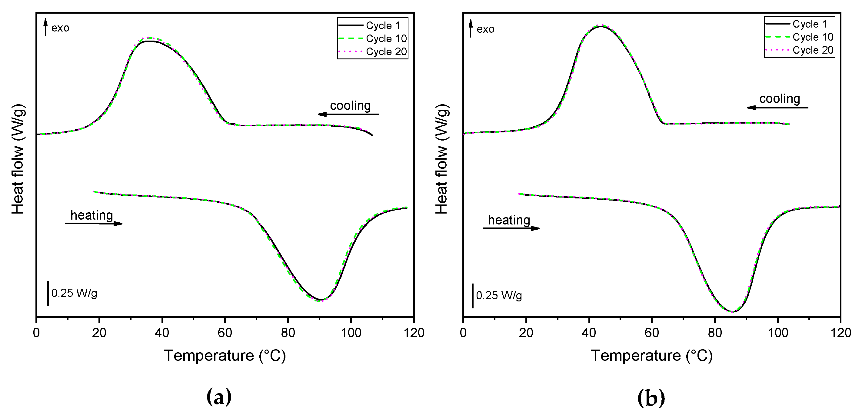 Polymers 14 04058 g005