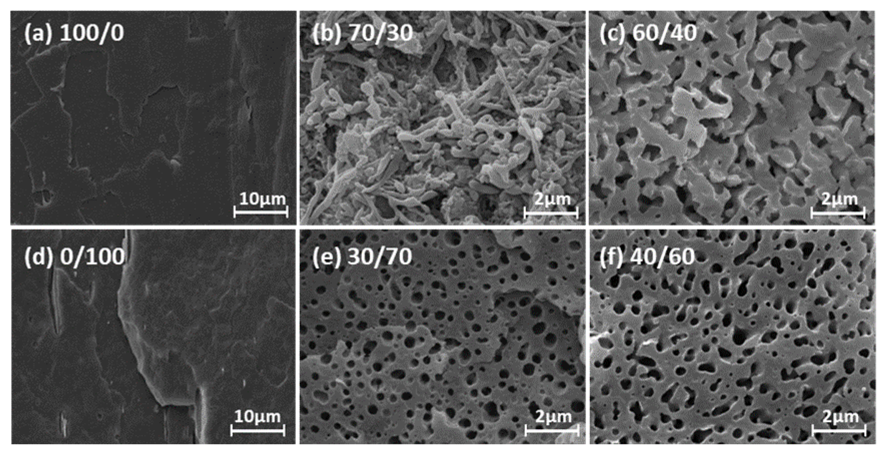 Polymers 14 05359 g006