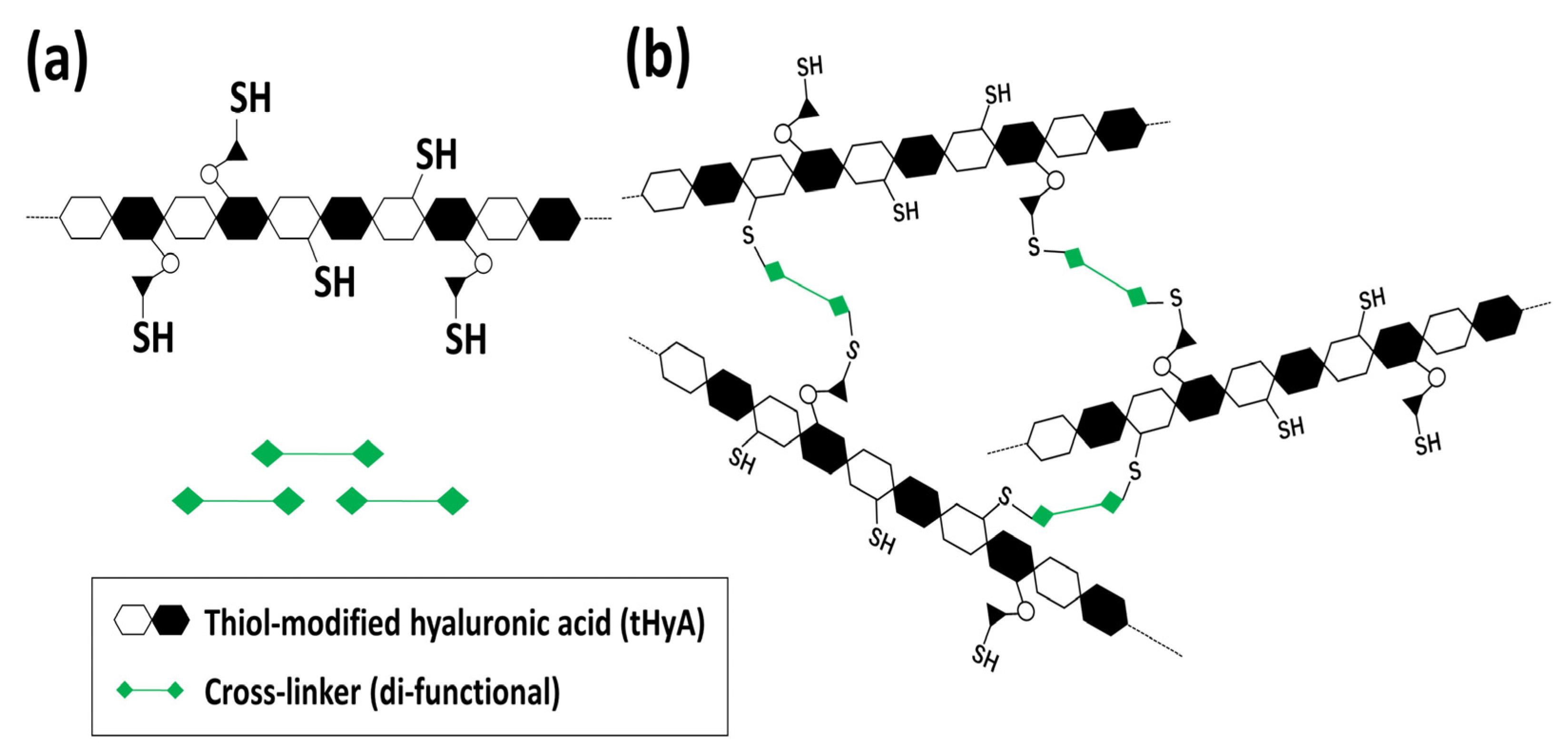 Polymers 14 05368 g001