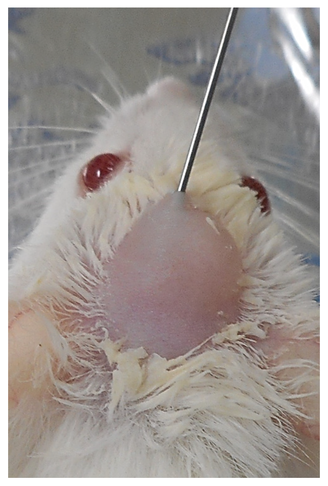 Polymers 14 05368 g004