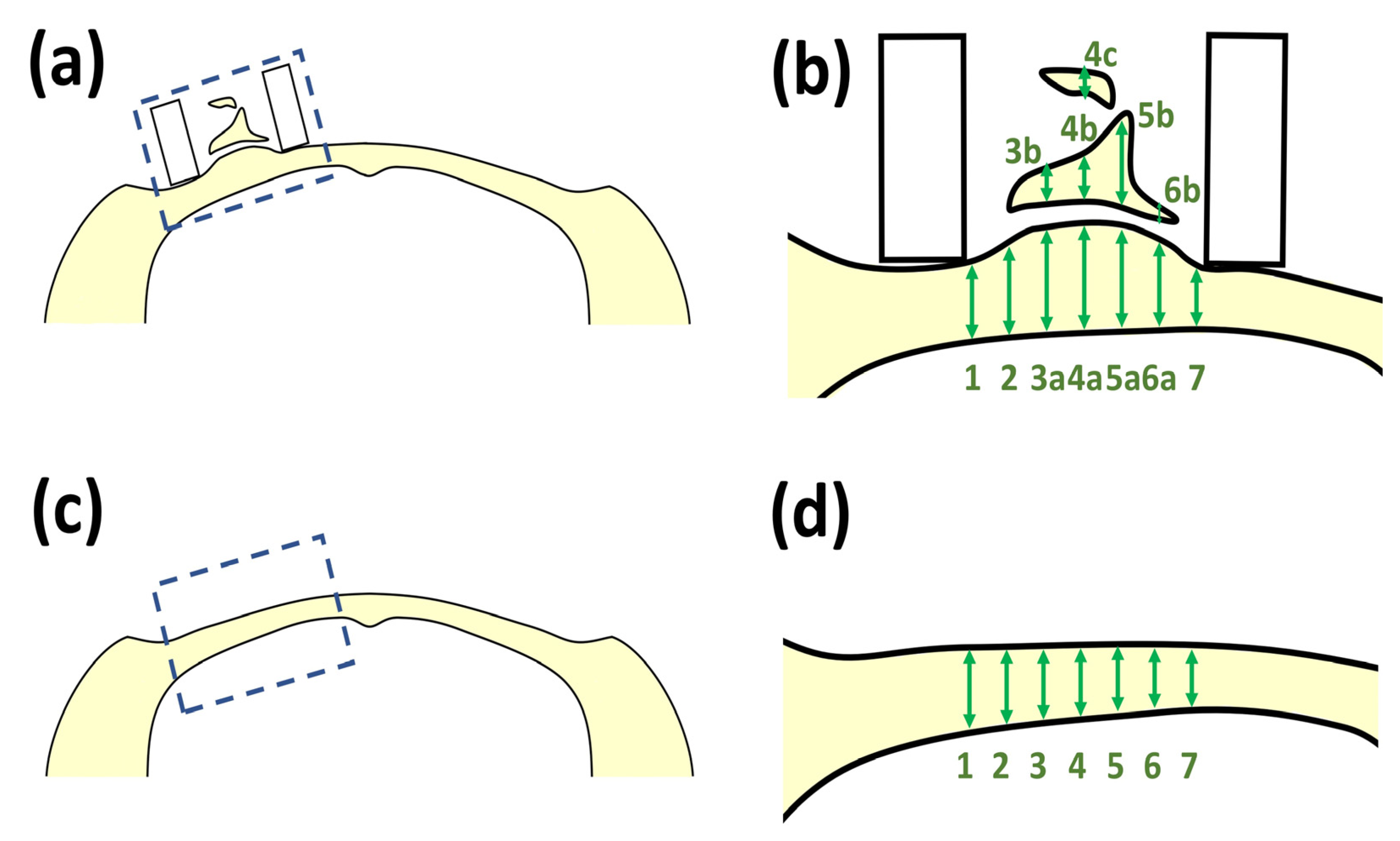 Polymers 14 05368 g006
