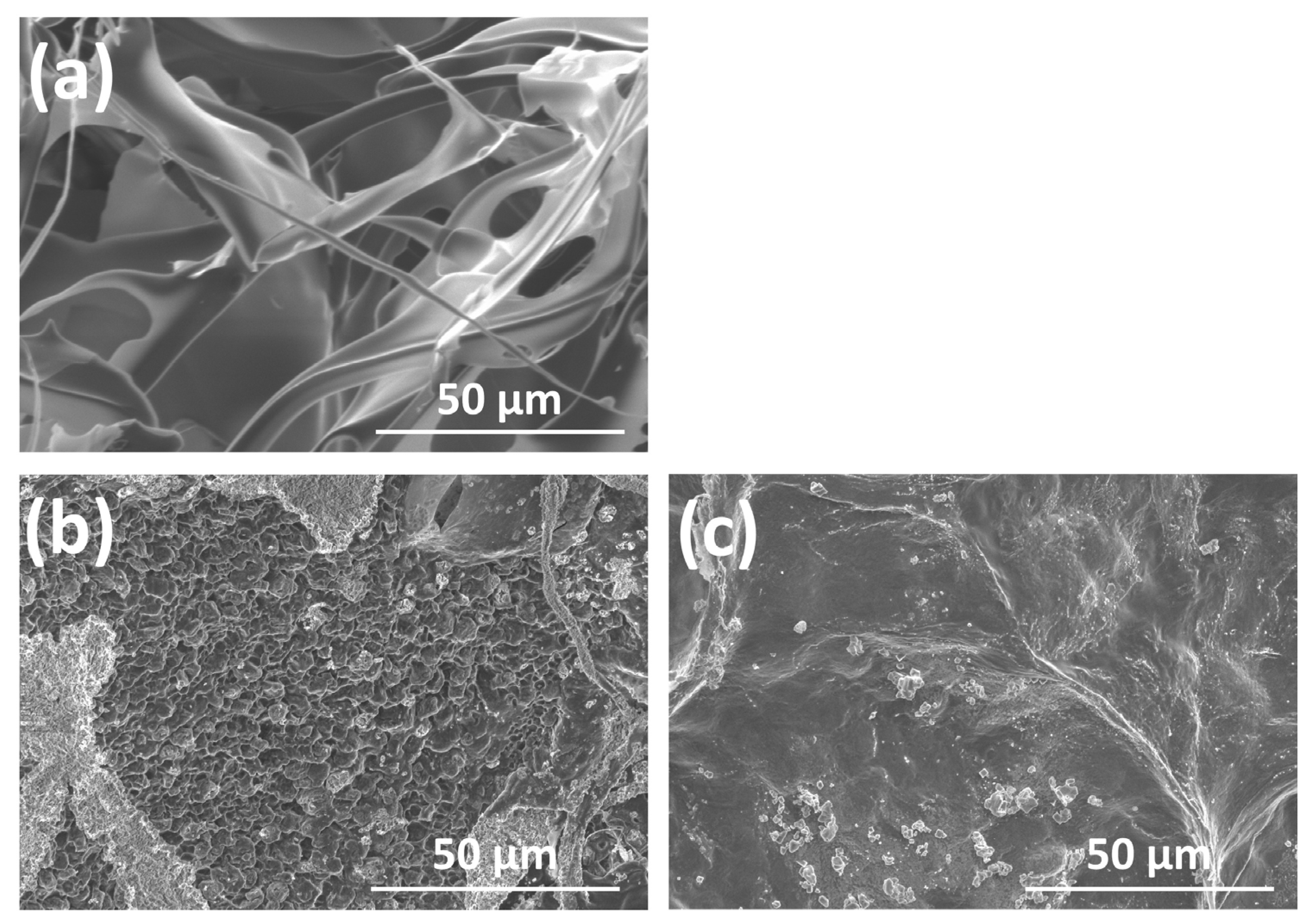 Polymers 14 05368 g008