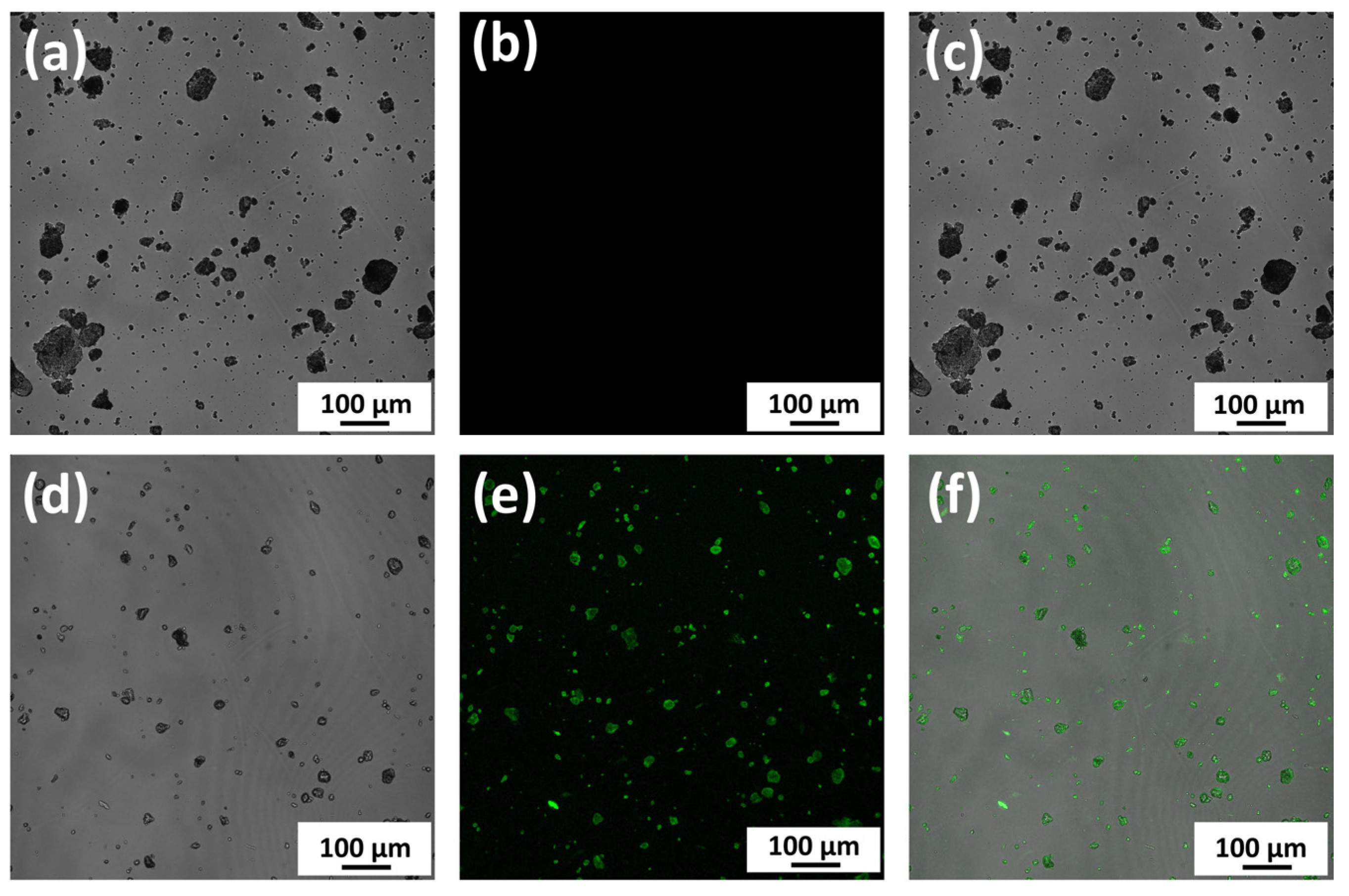 Polymers 14 05368 g011