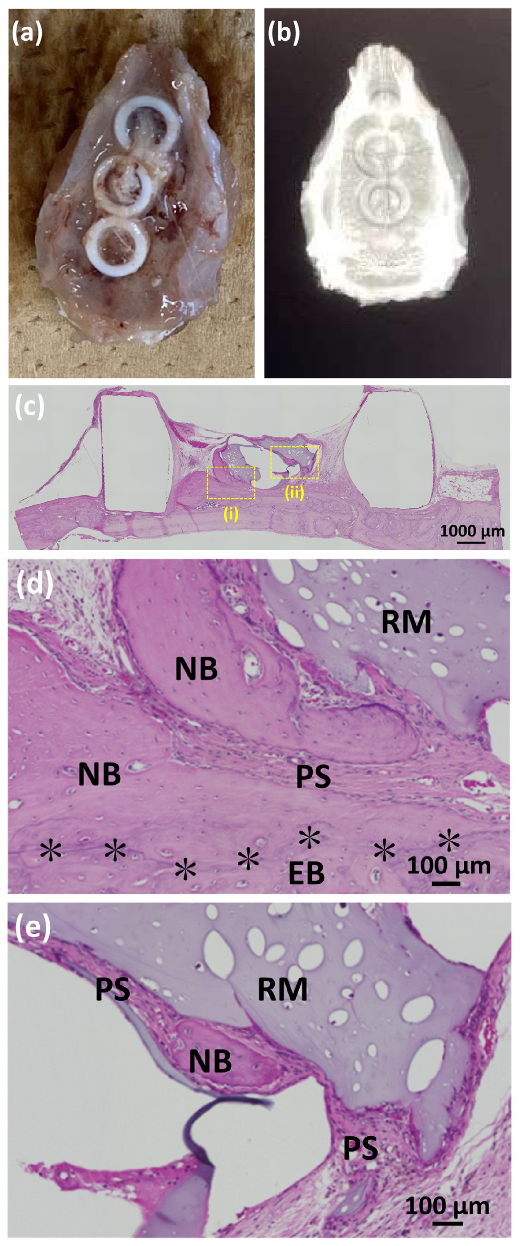 Polymers 14 05368 g015
