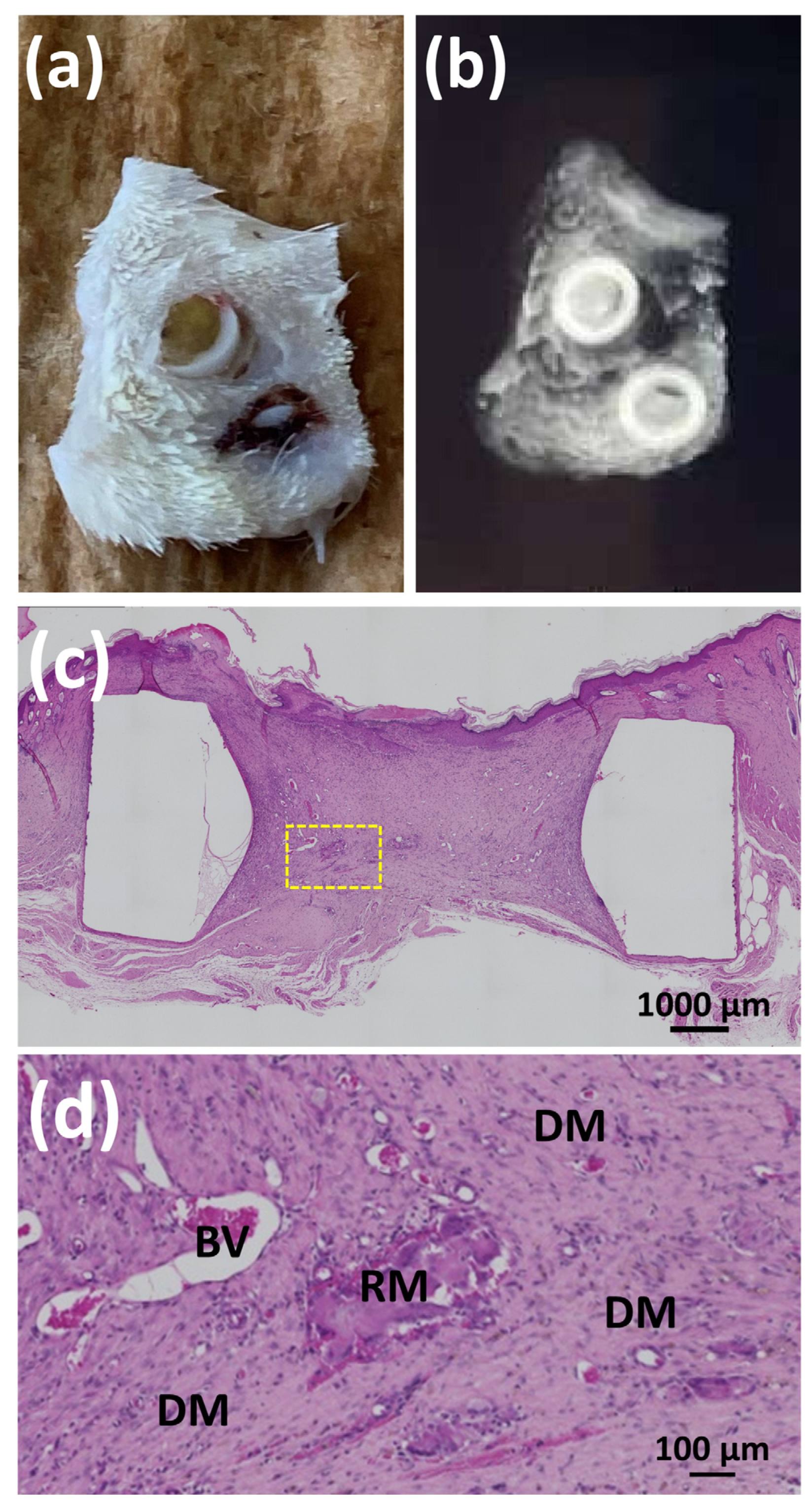 Polymers 14 05368 g017