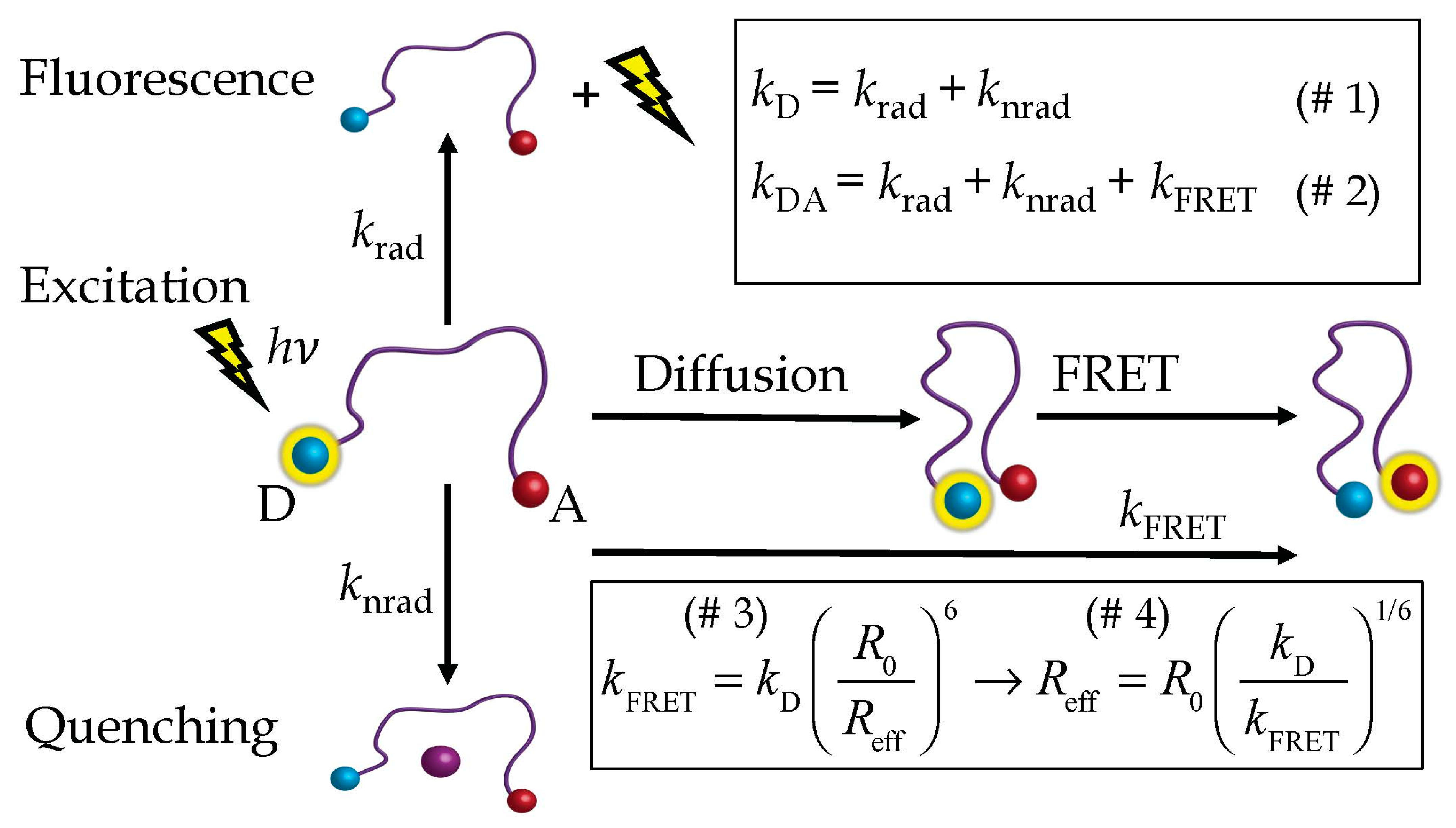 Polymers 15 00705 g001