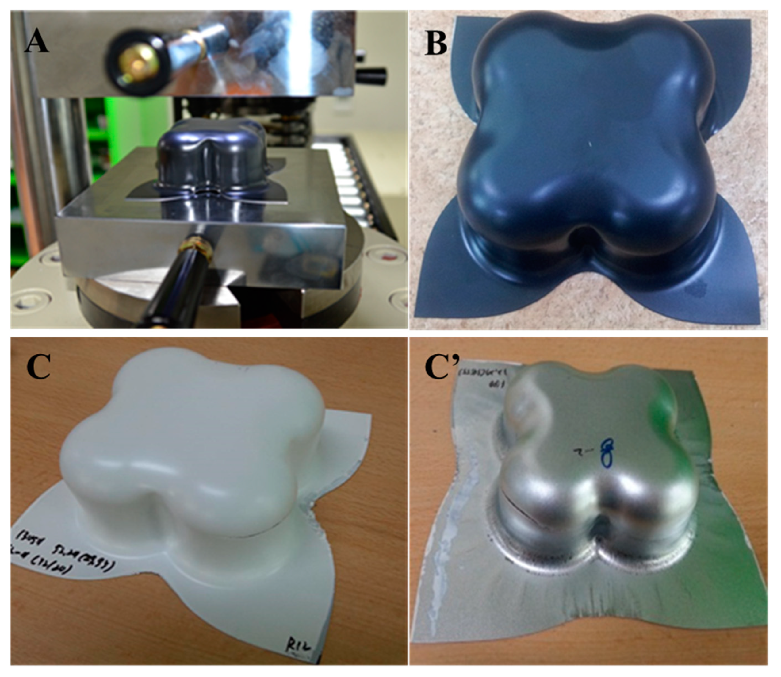 Polymers 15 00880 g002