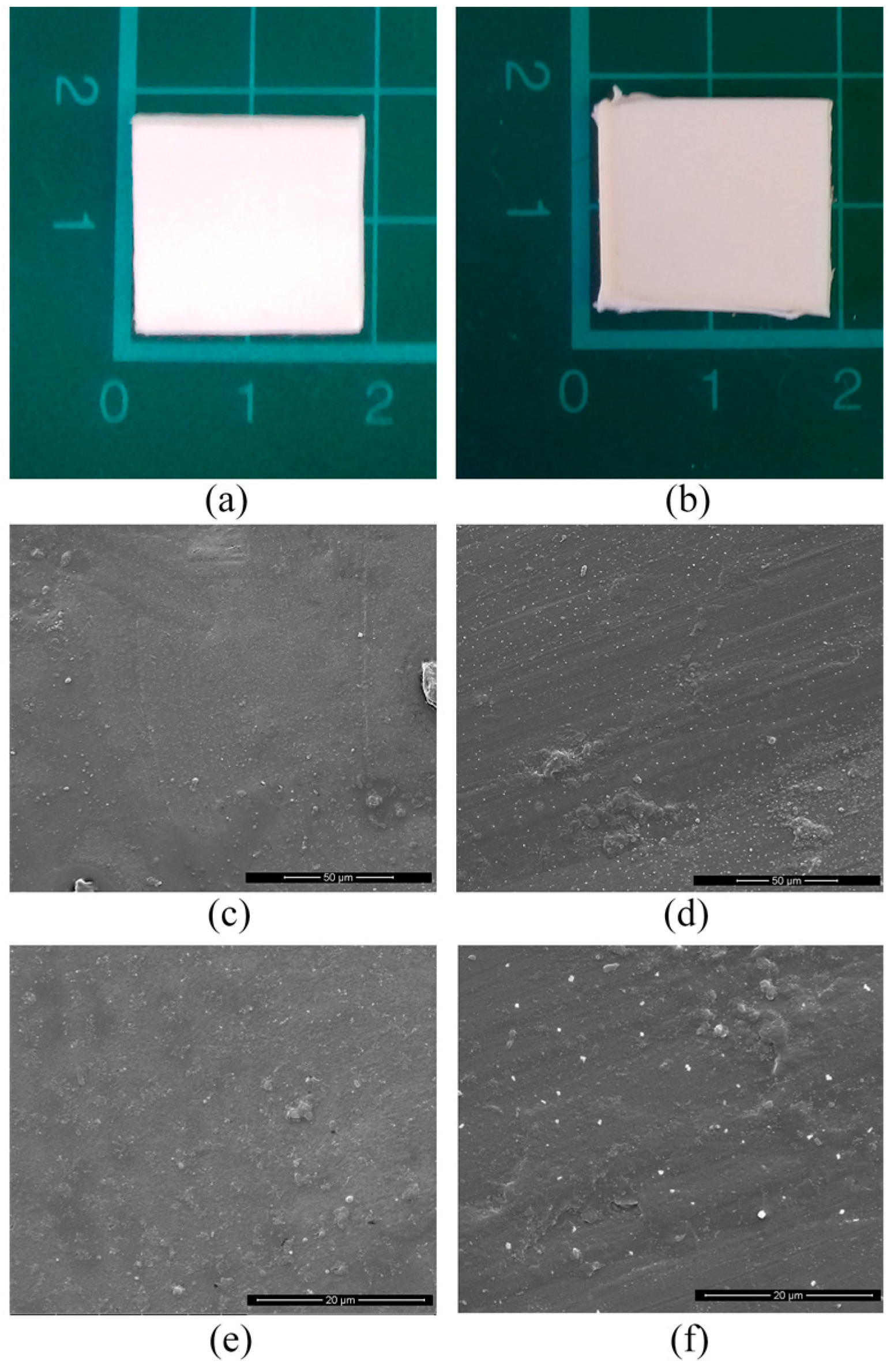 Polymers 15 00927 g004
