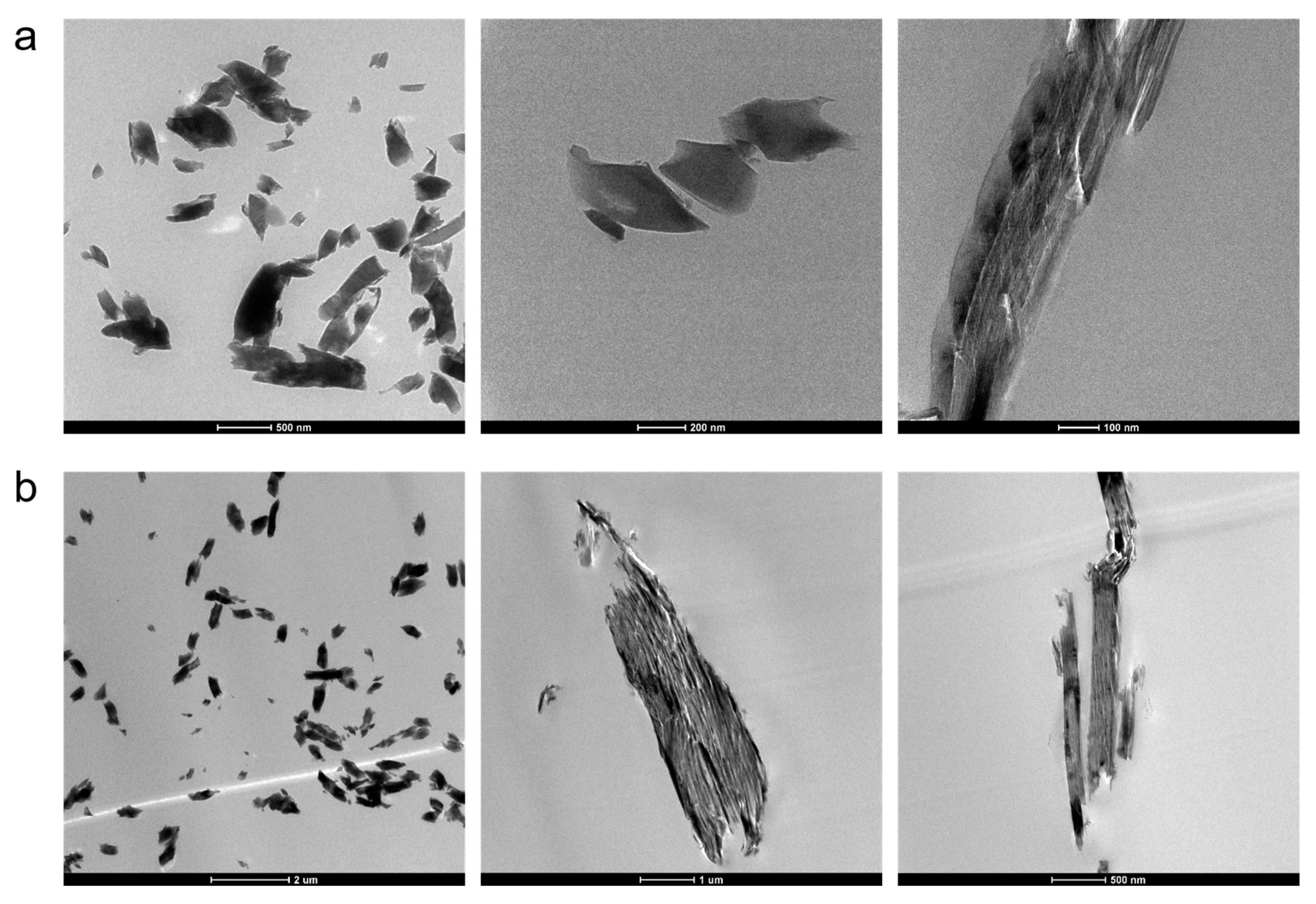 Polymers 15 01456 g005