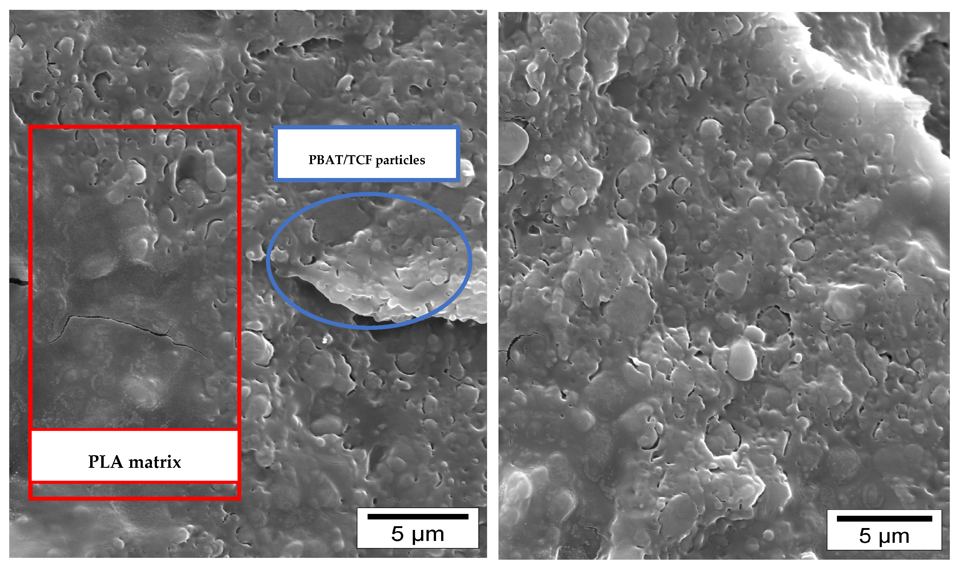 Polymers 15 02068 g009