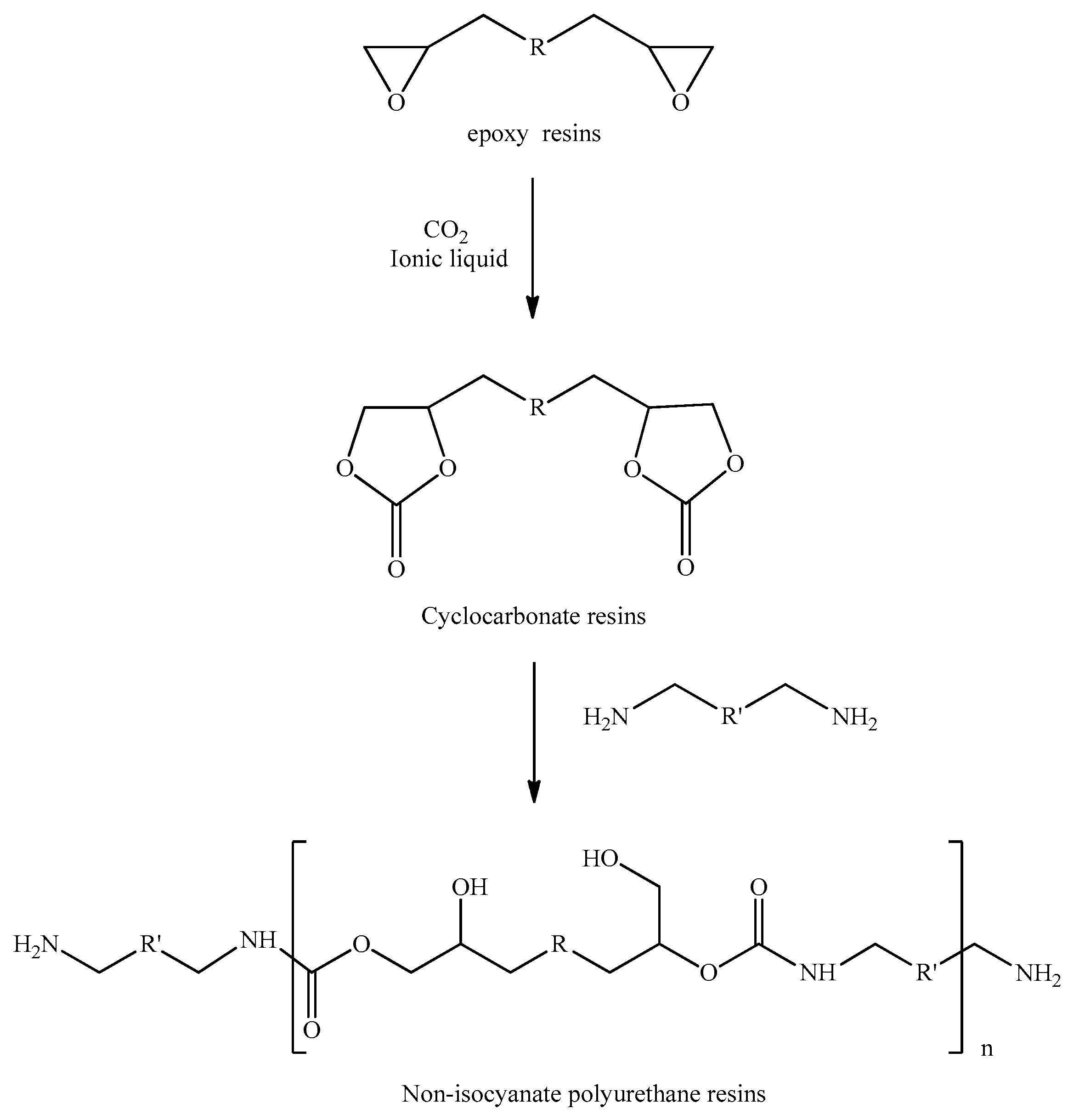 Polymers 15 02499 g002