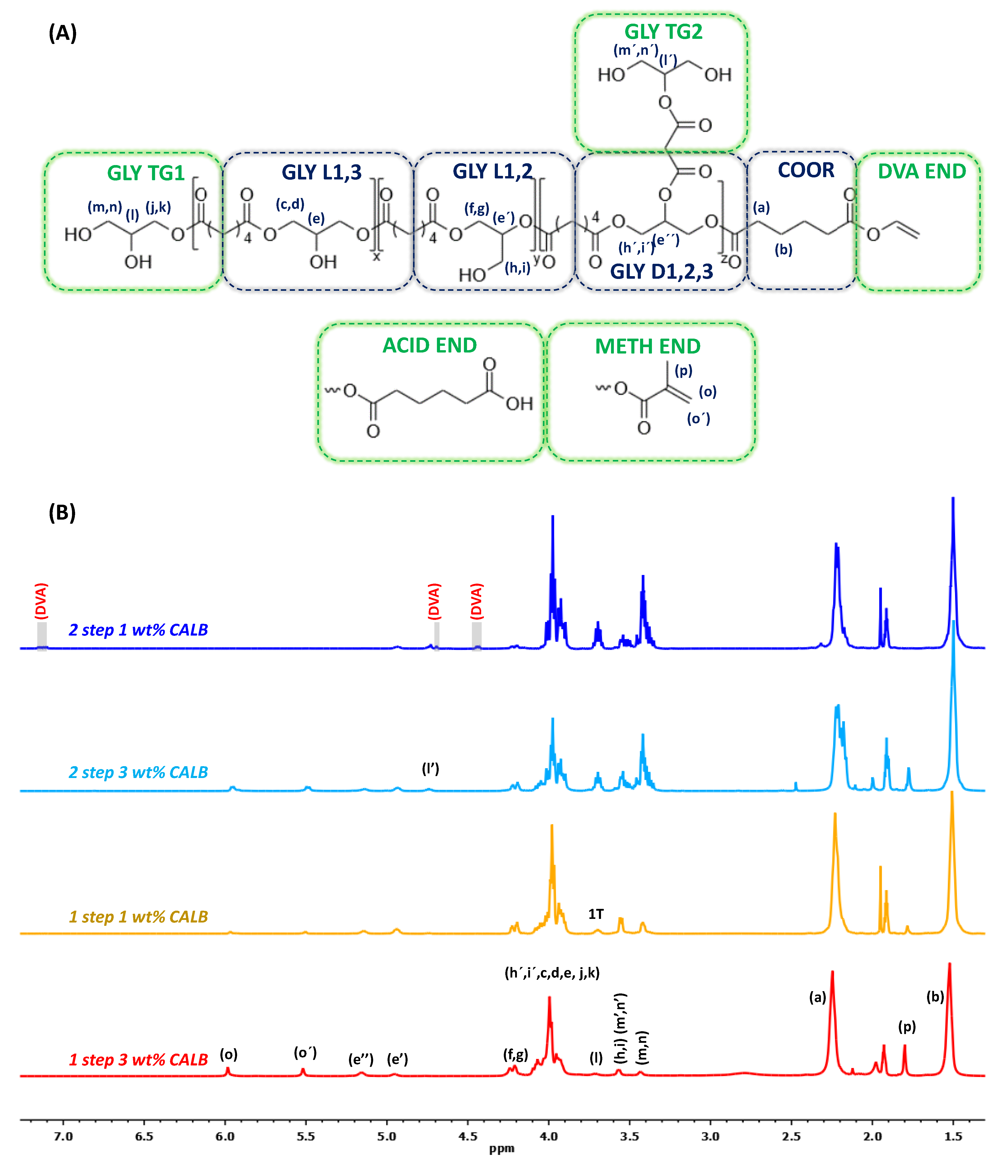 Polymers 15 03050 g001