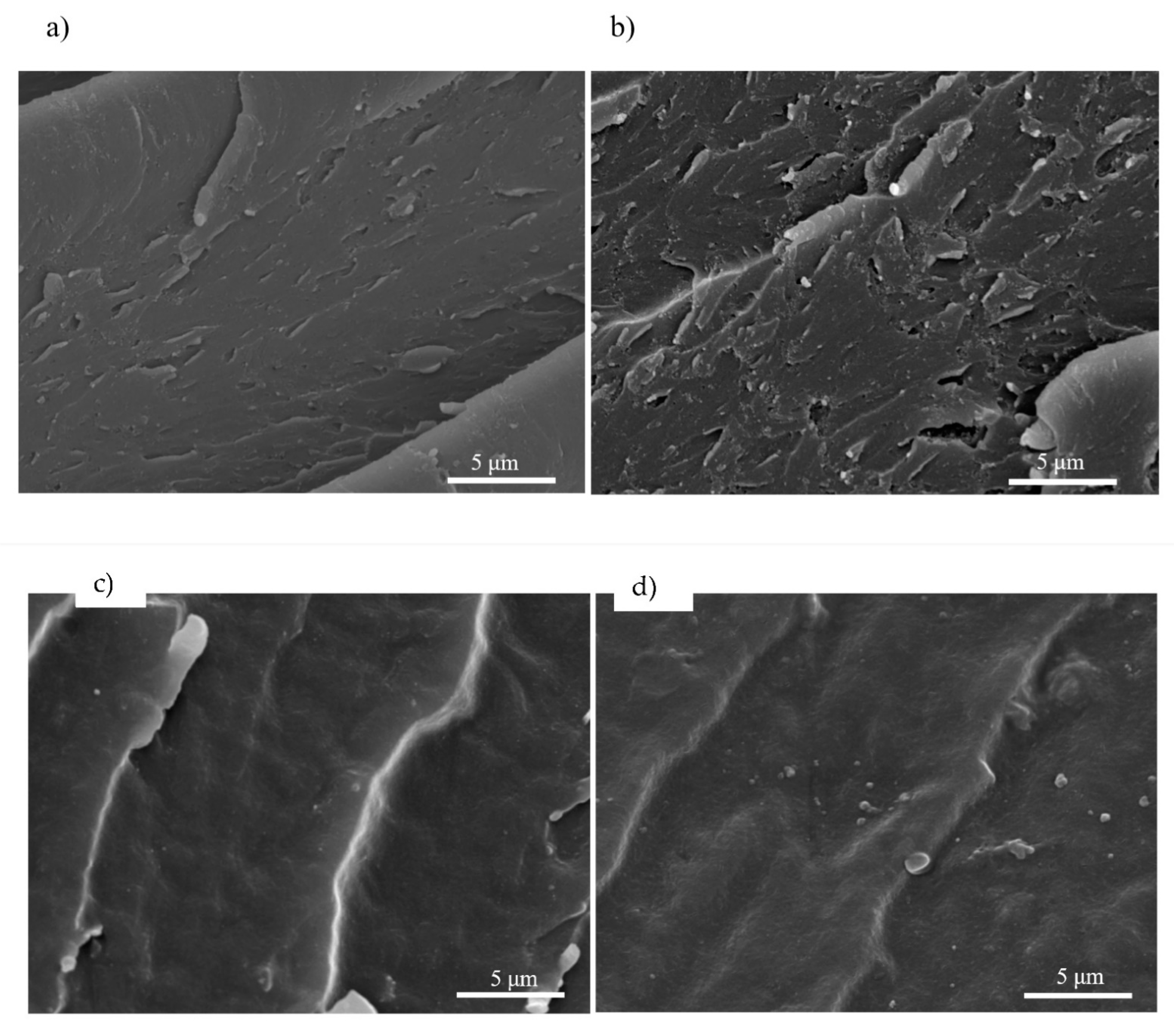 Polymers 15 03061 g008a