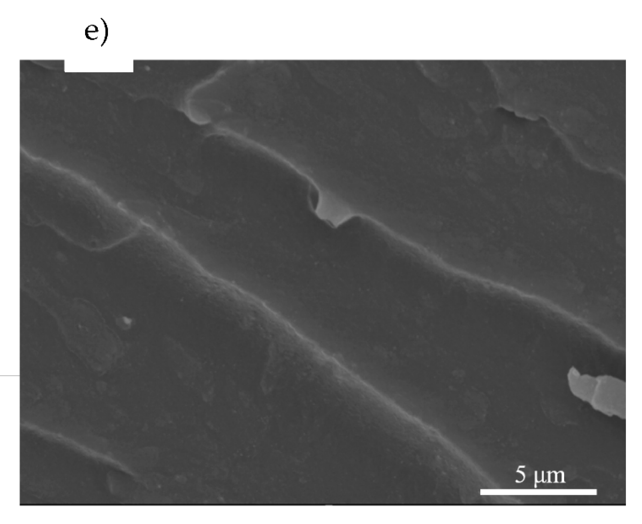 Polymers 15 03061 g008b