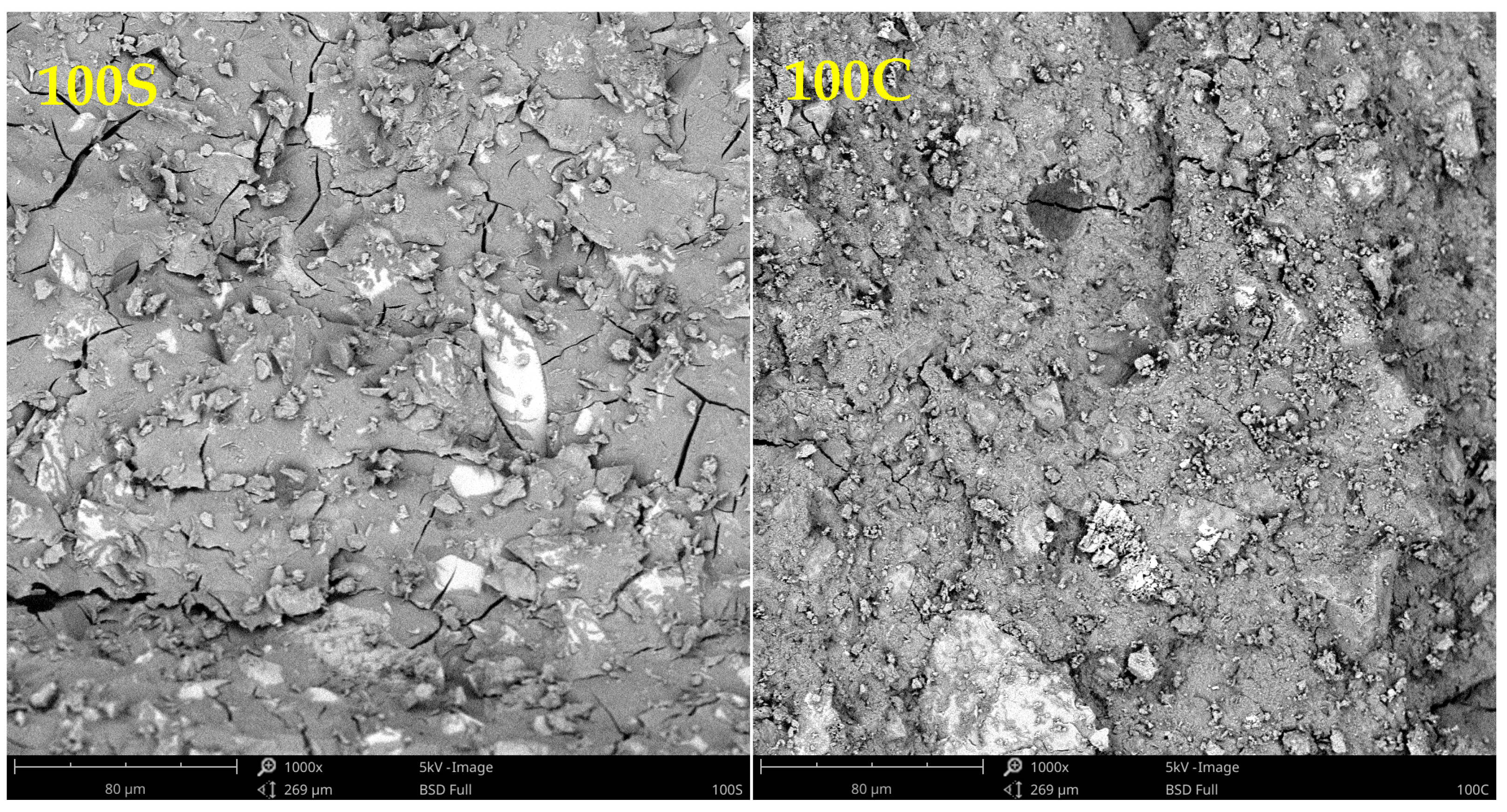 Polymers 15 03092 g003