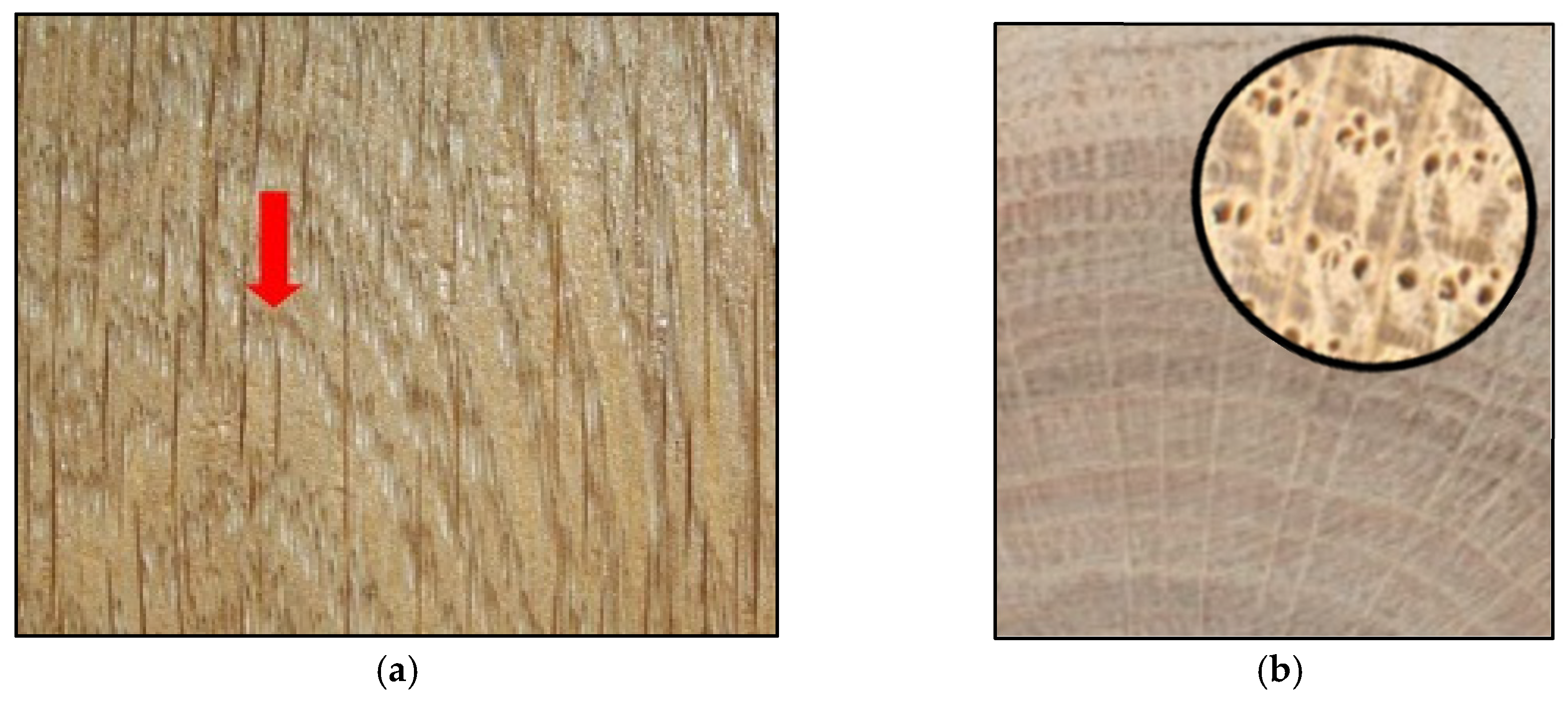 Polymers 15 03251 g002