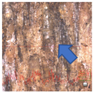 Polymers 15 03251 i043