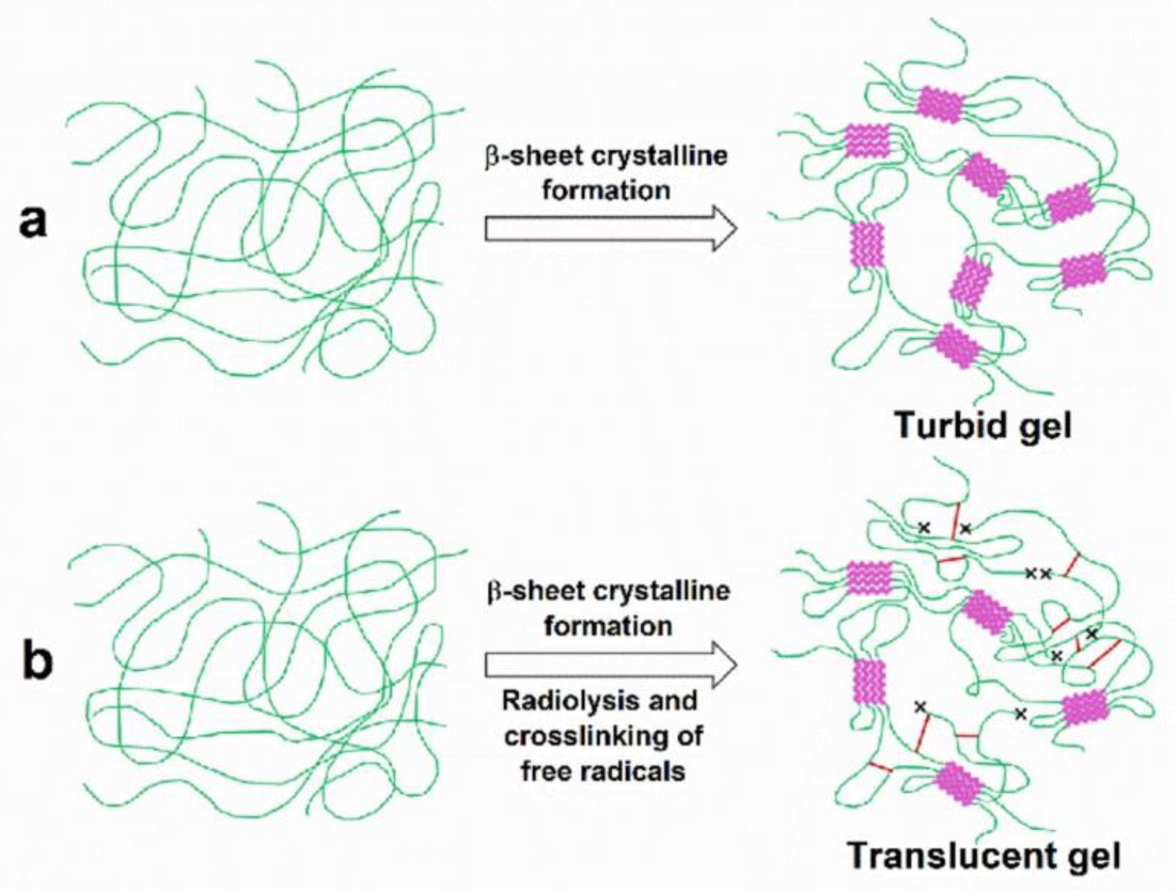 Polymers 15 03734 g008