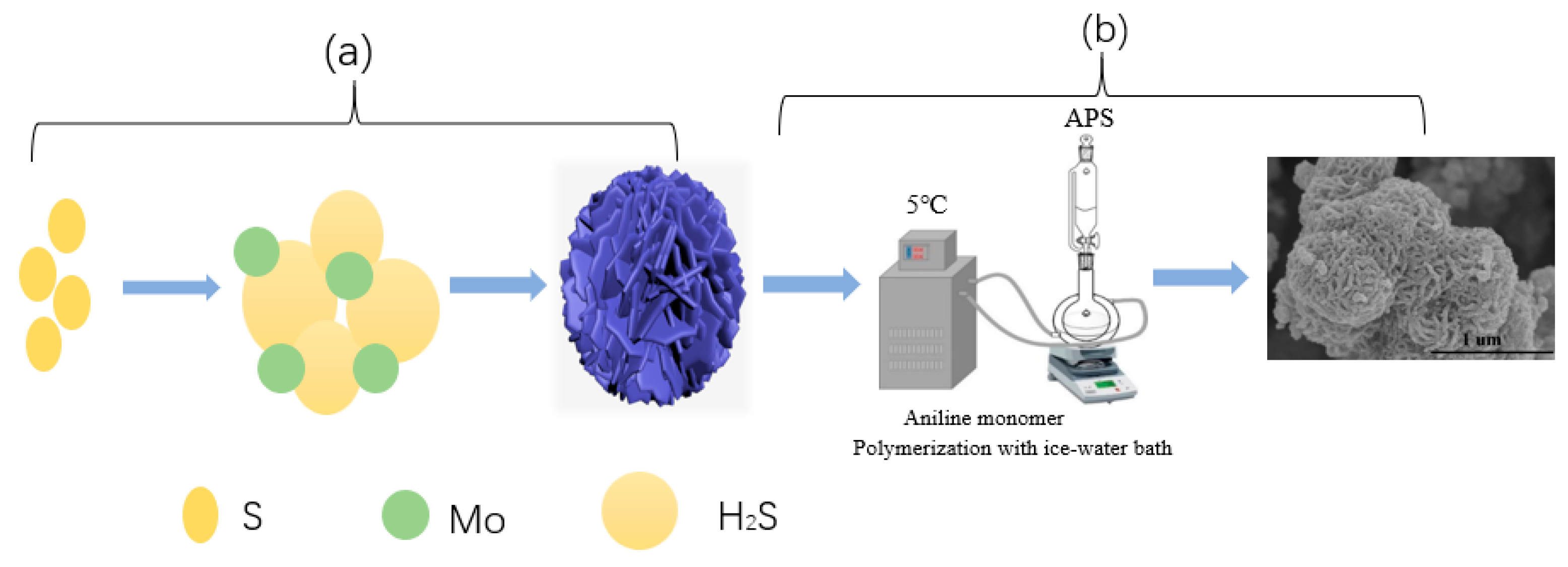 Polymers 15 03900 g001