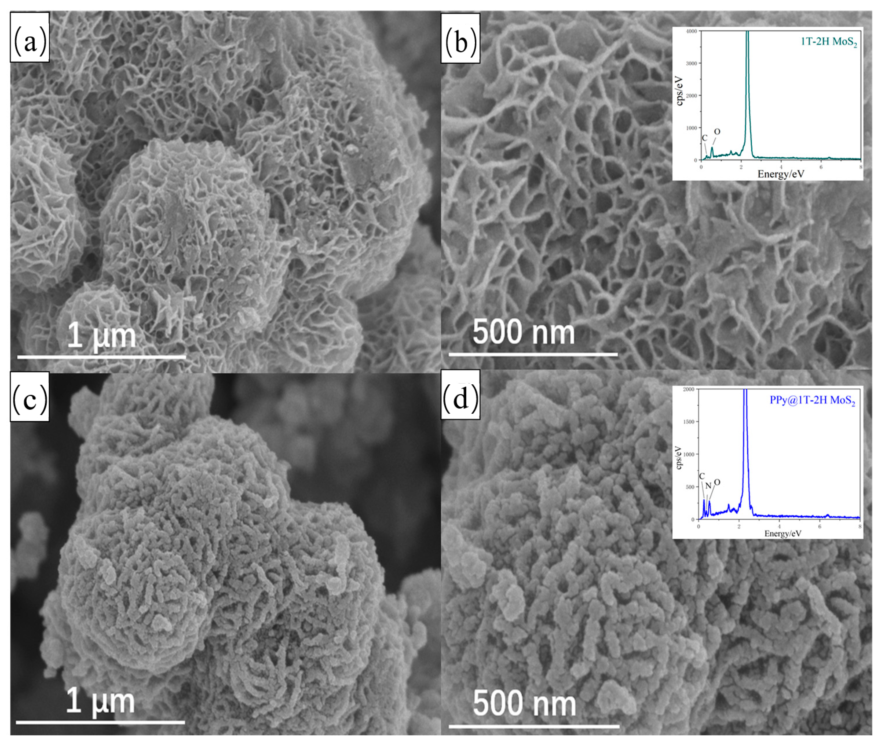 Polymers 15 03900 g002