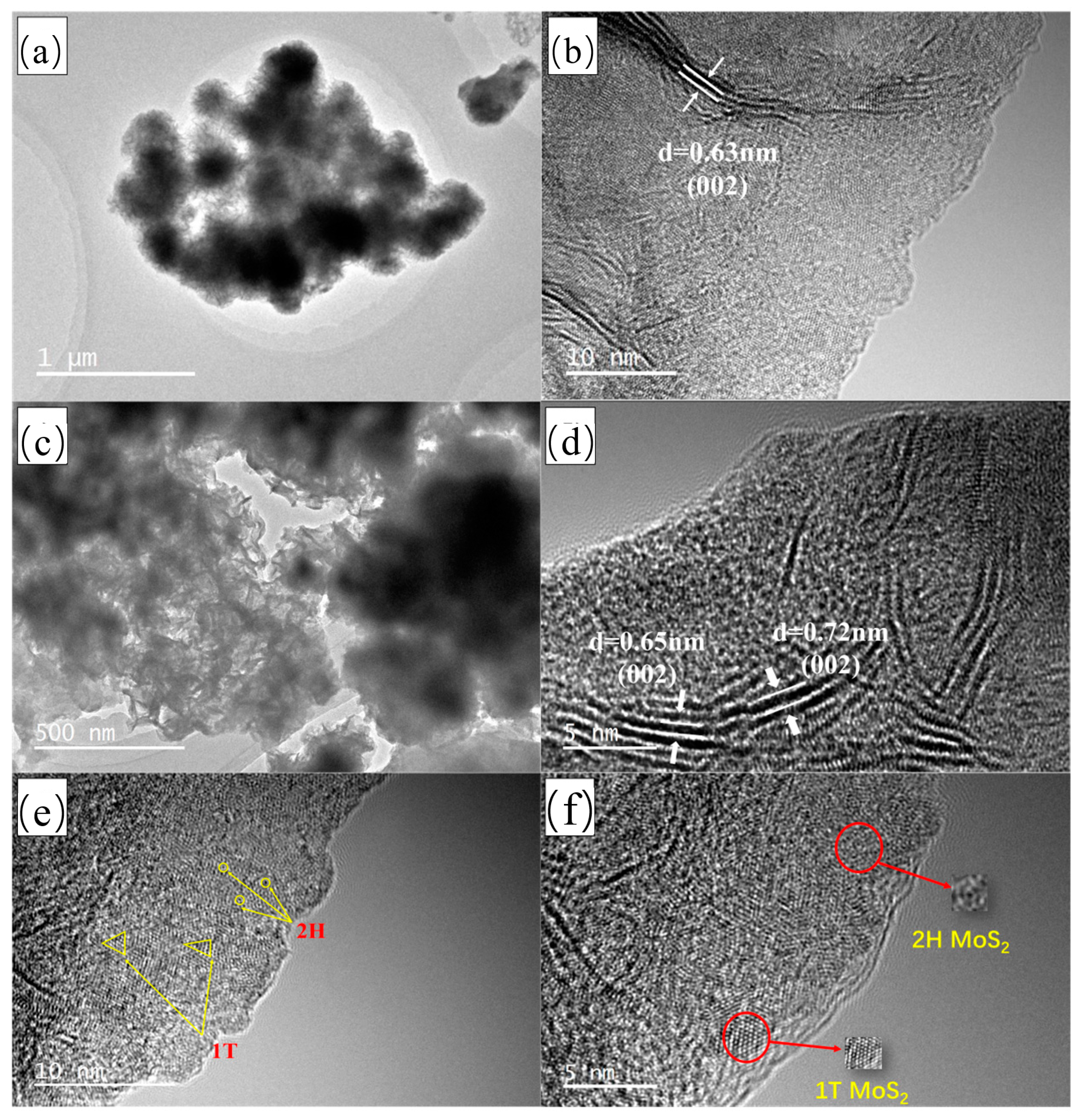 Polymers 15 03900 g004