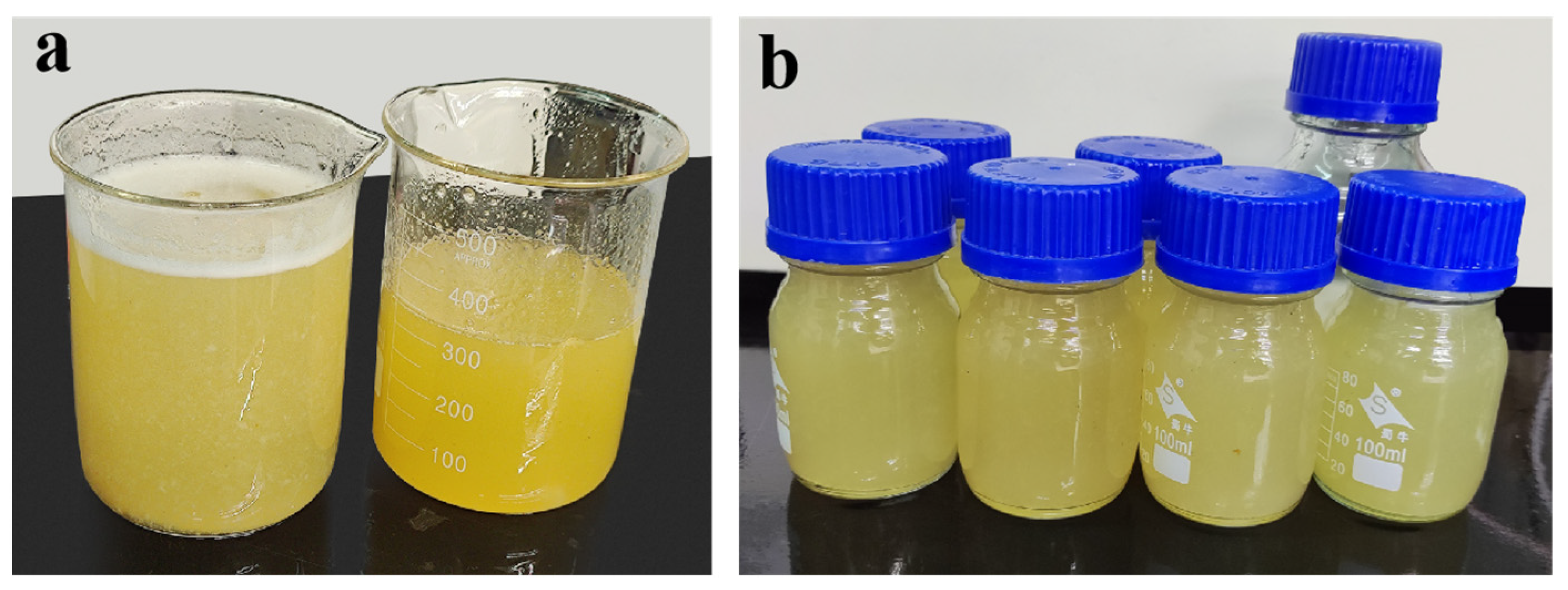 Polymers 15 04083 g001