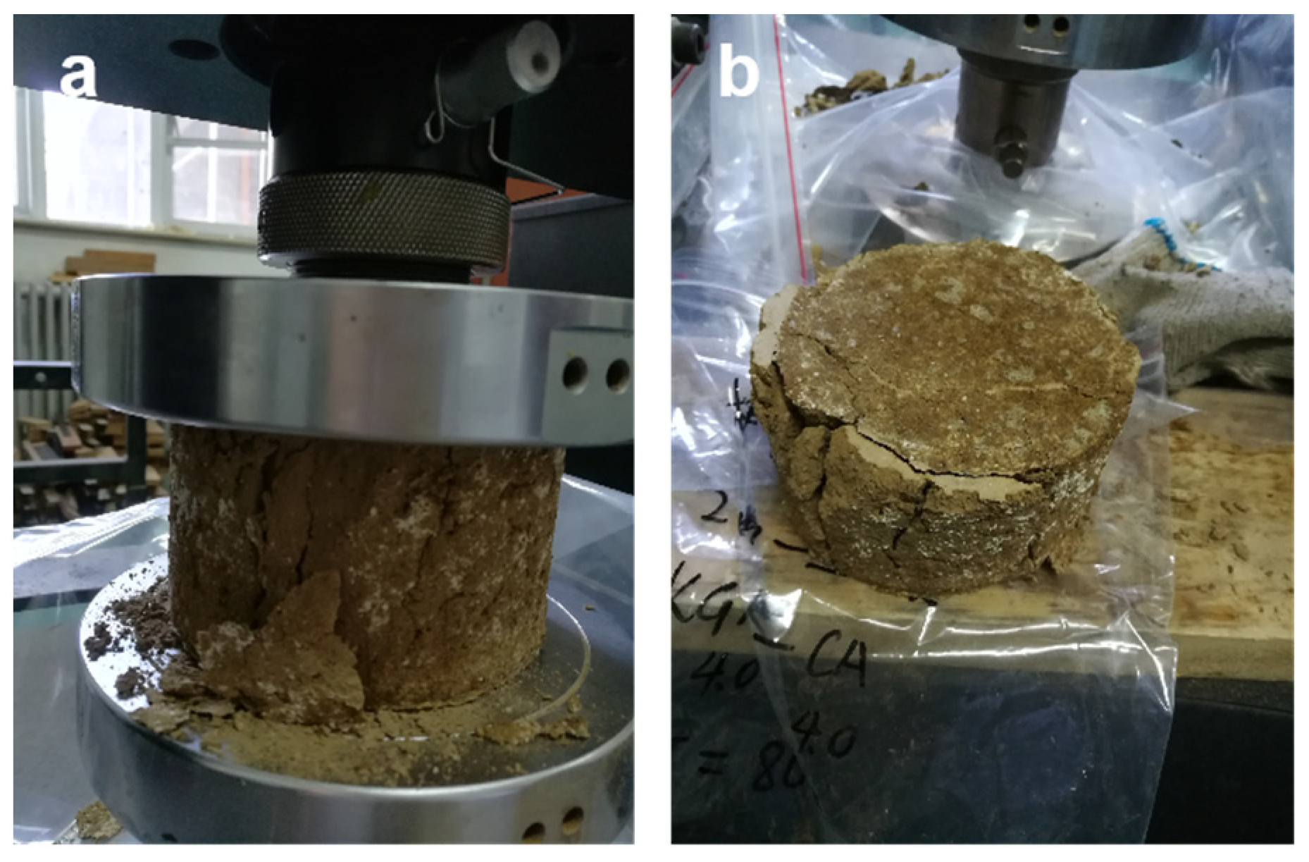 Polymers 15 04083 g005