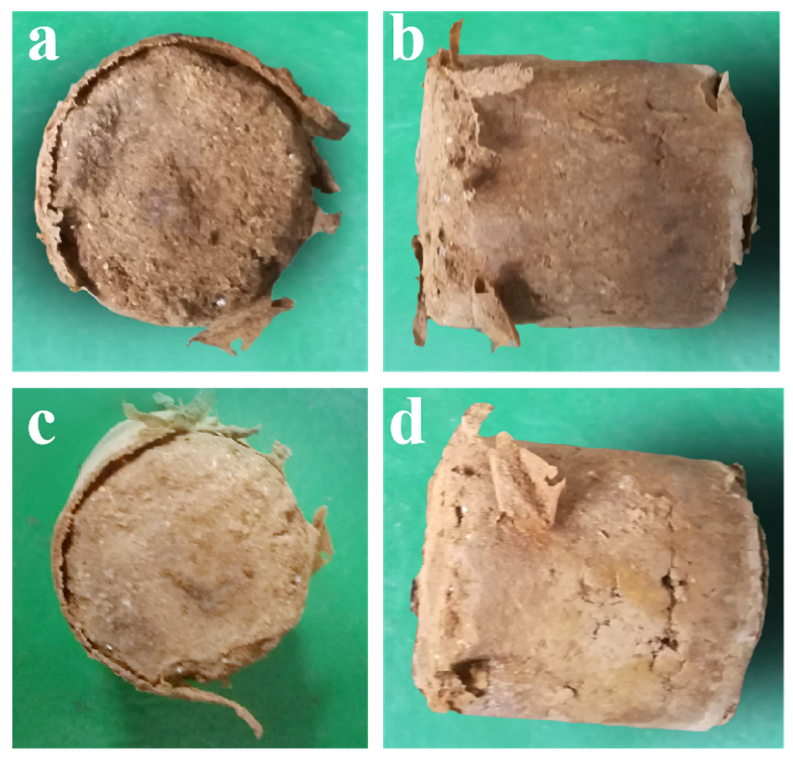Polymers 15 04083 g009