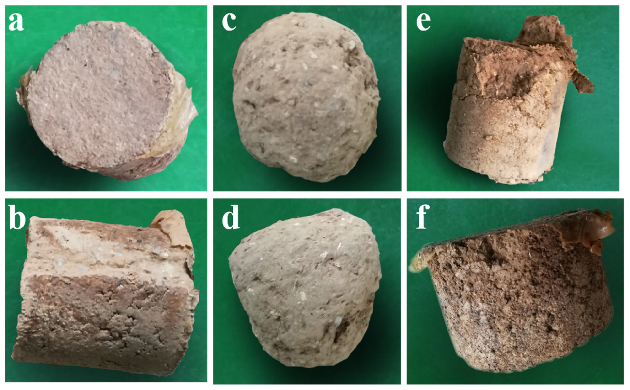 Polymers 15 04083 g010