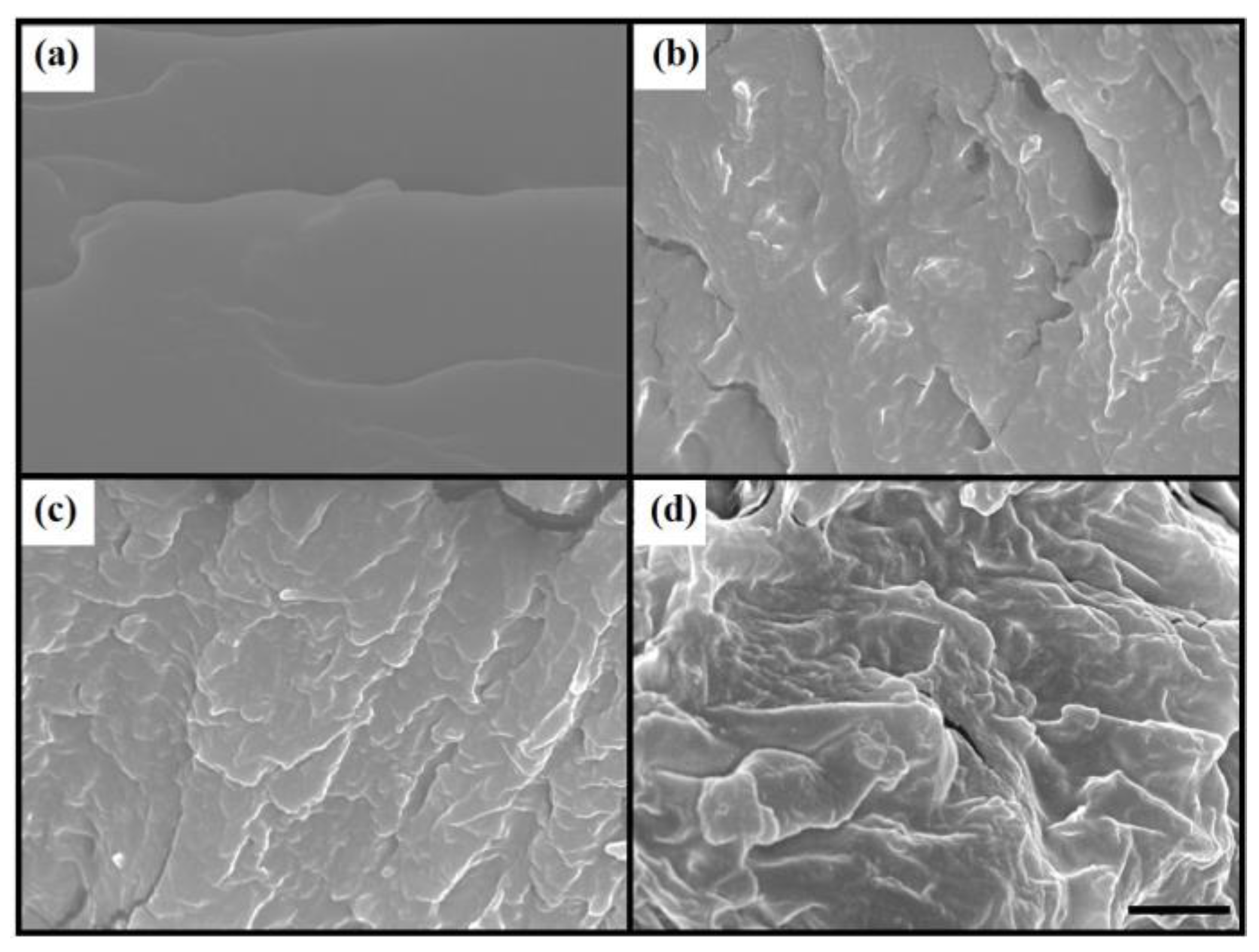 Polymers 15 04378 g004