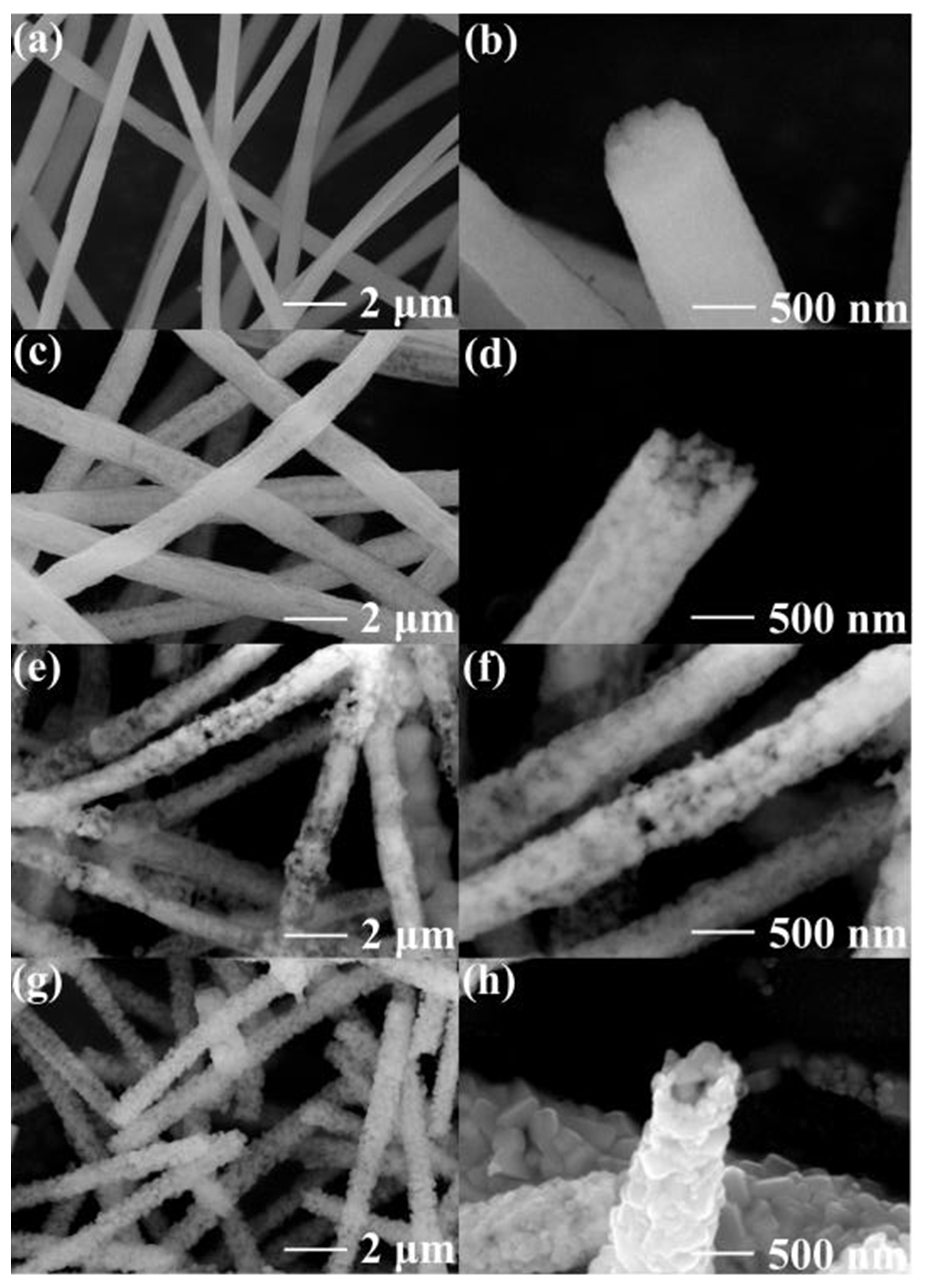 Polymers 15 04538 g001