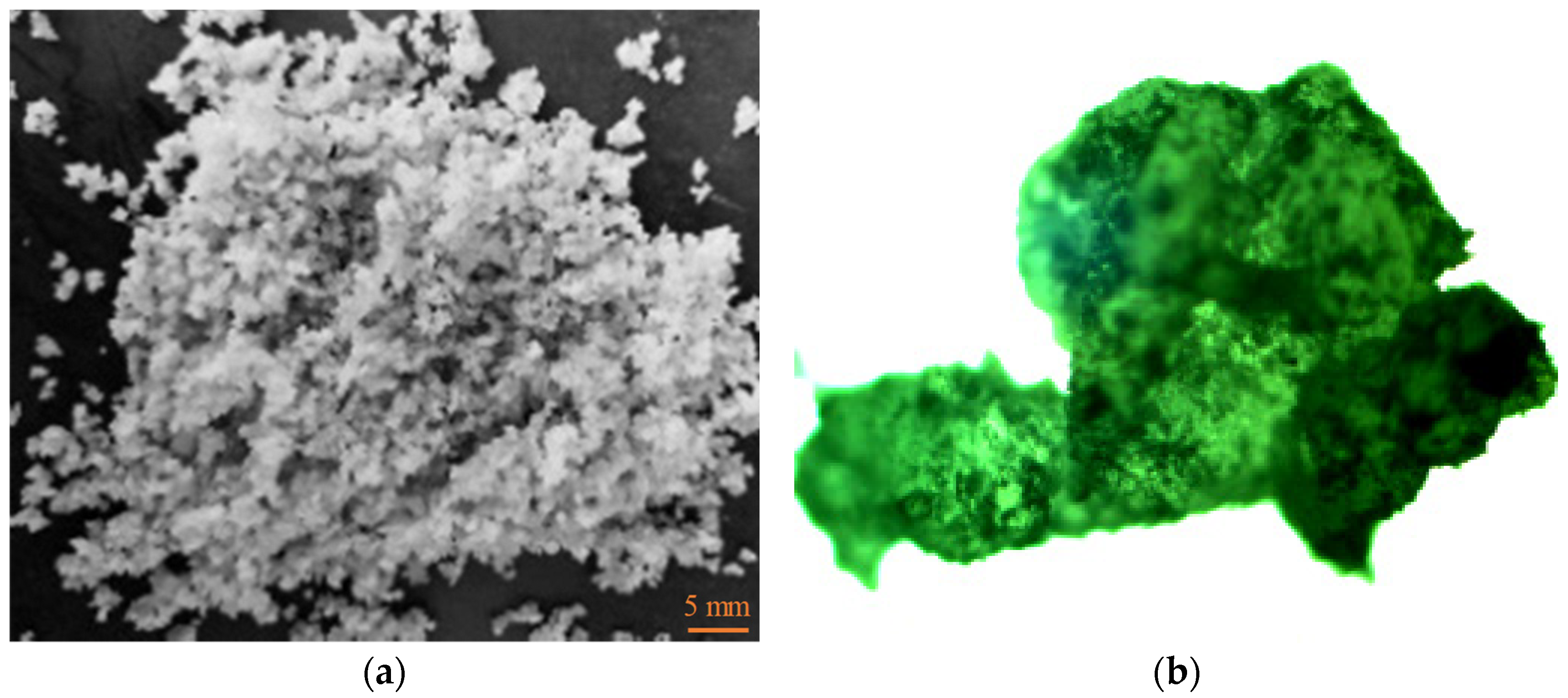 Polymers 16 00456 g001