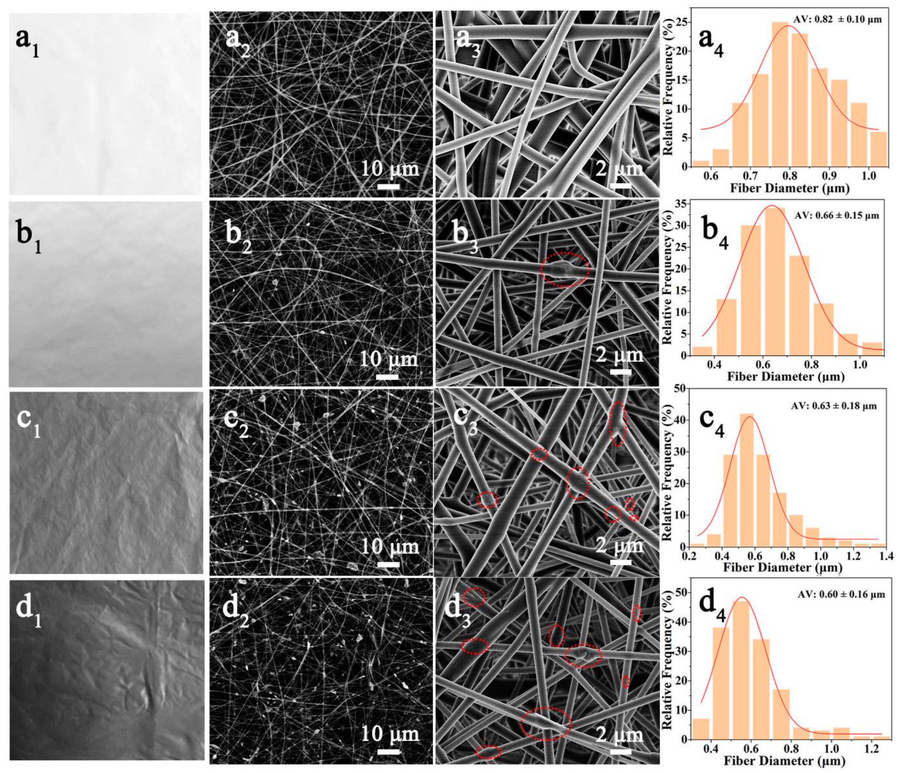 Polymers 16 00630 g001
