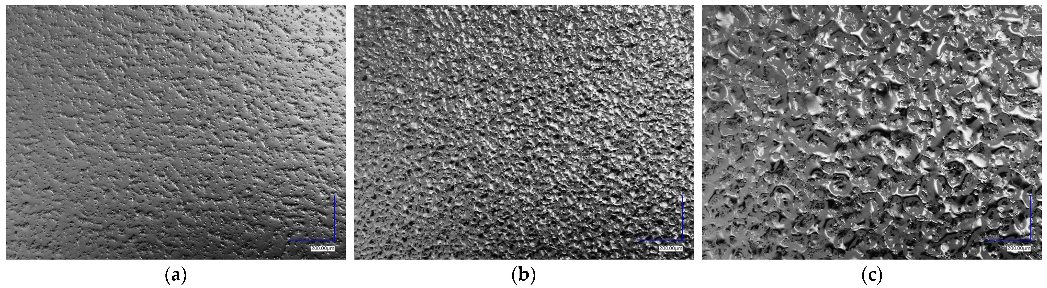 Polymers 16 00650 g006