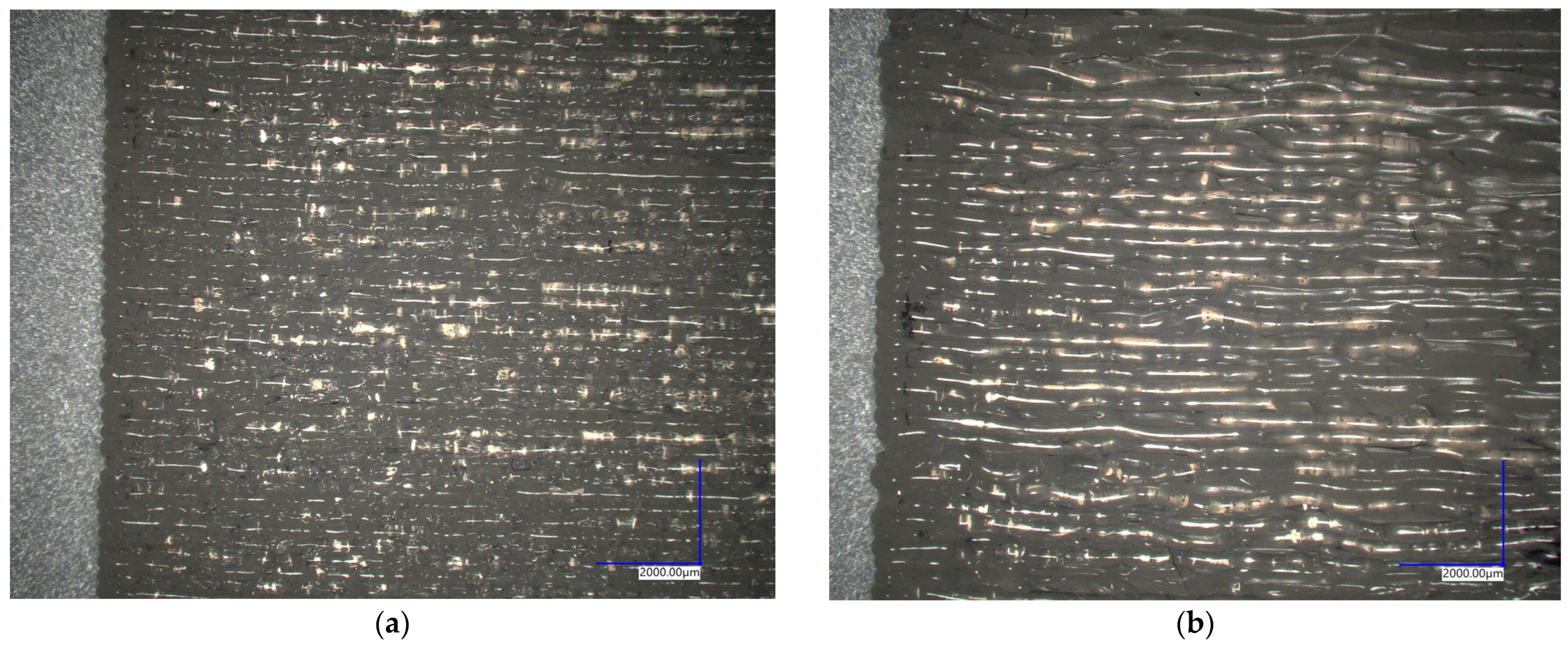 Polymers 16 00650 g010