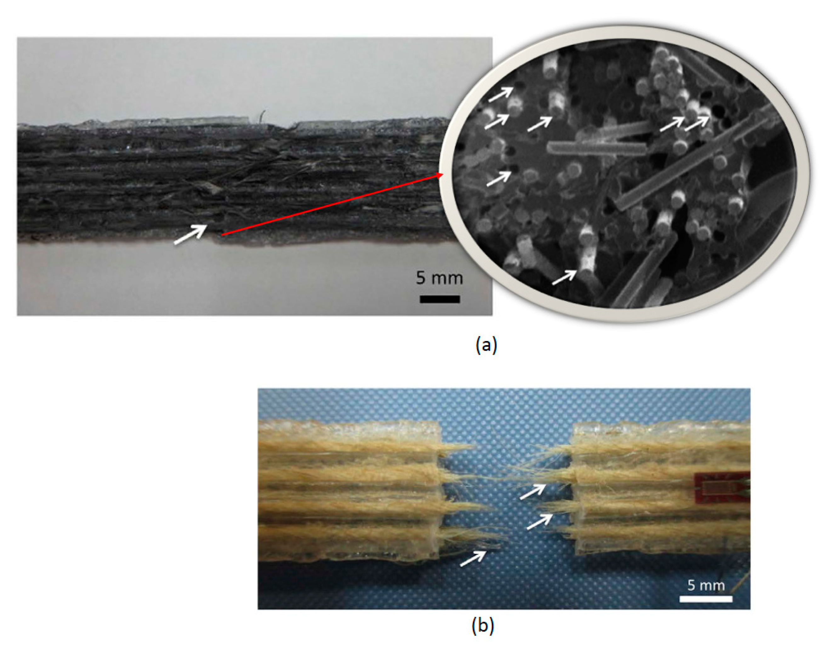 Polymers 16 00831 g006