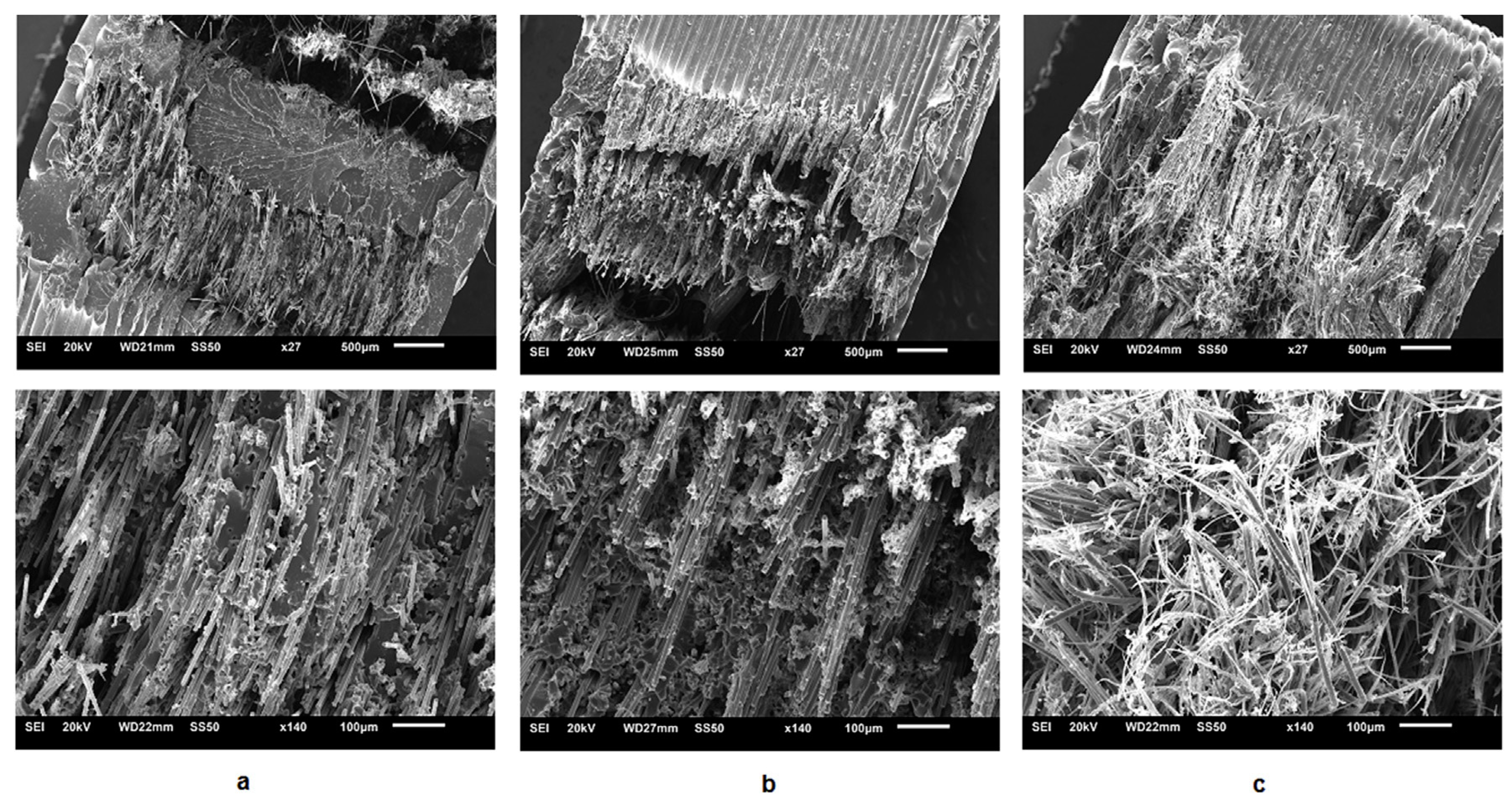 Polymers 16 00831 g014