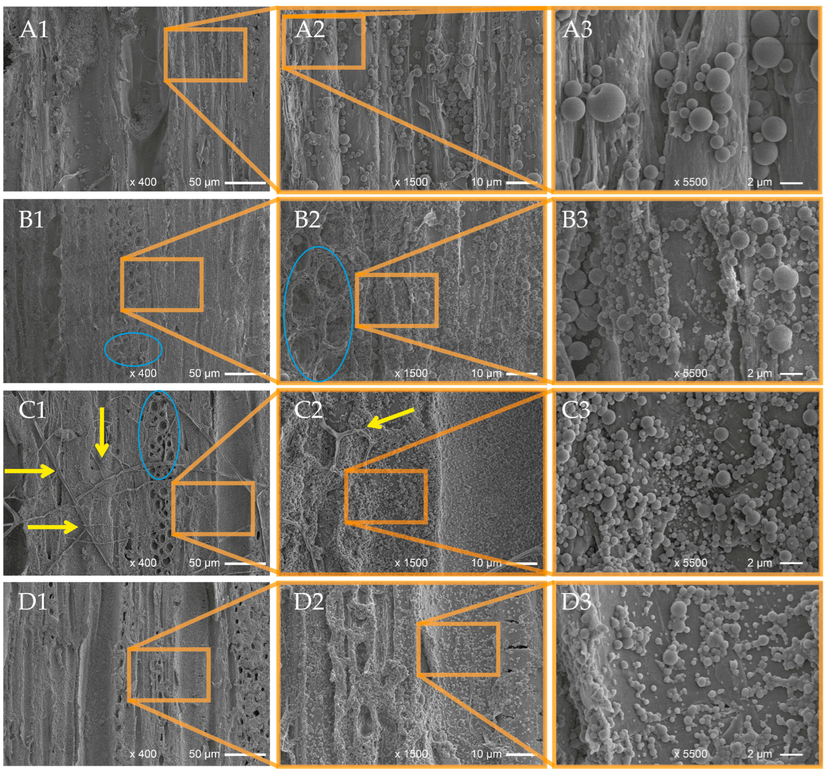 Polymers 16 00947 g006