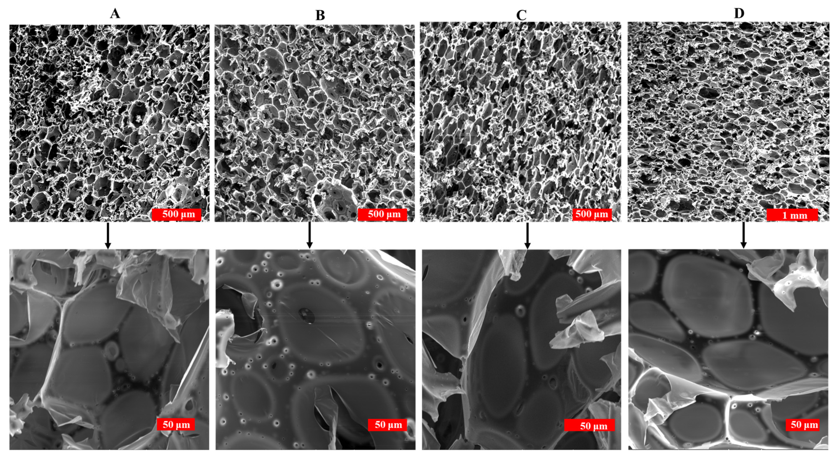 Polymers 16 00955 g006