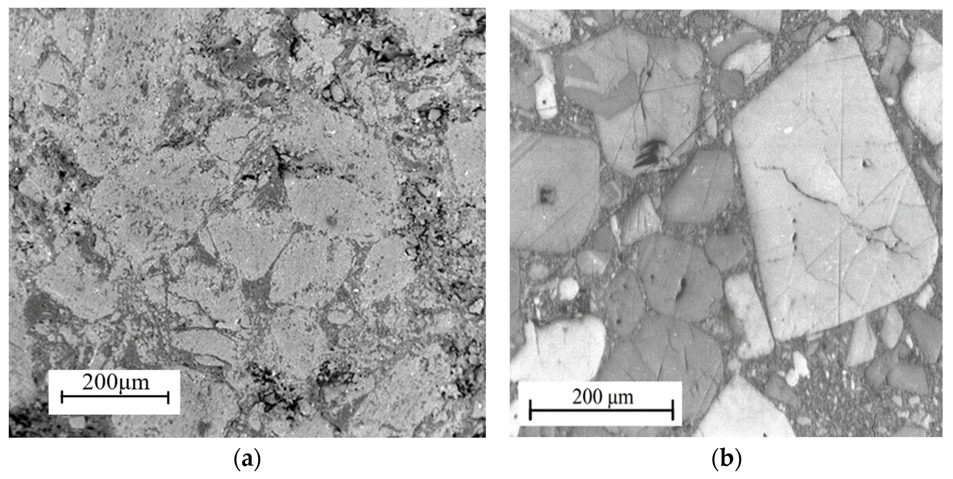 Polymers 16 01235 g005