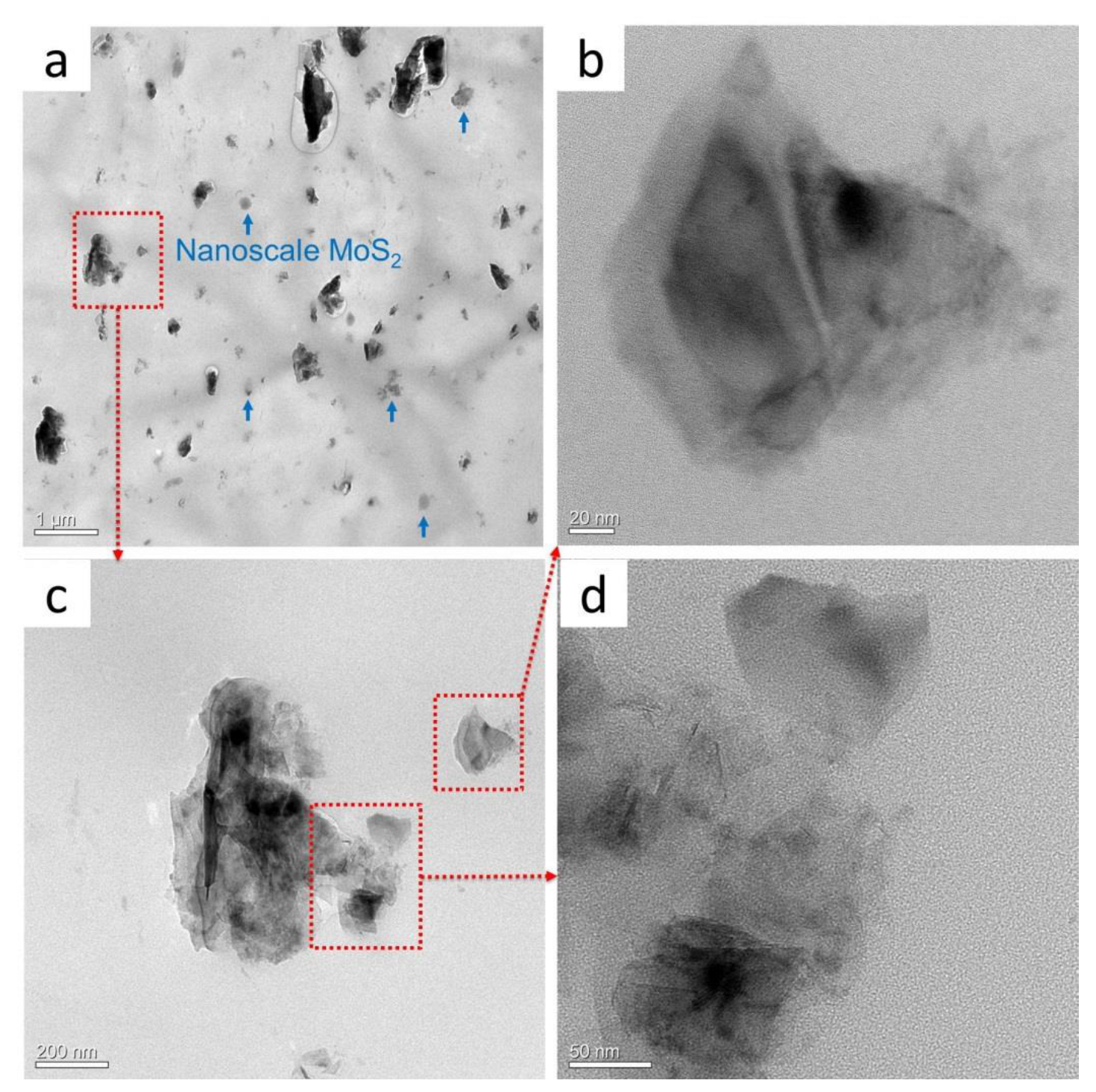 Polymers 16 01334 g006