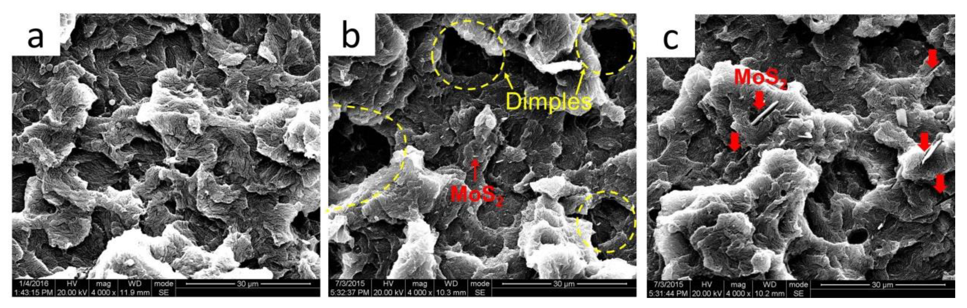 Polymers 16 01334 g012