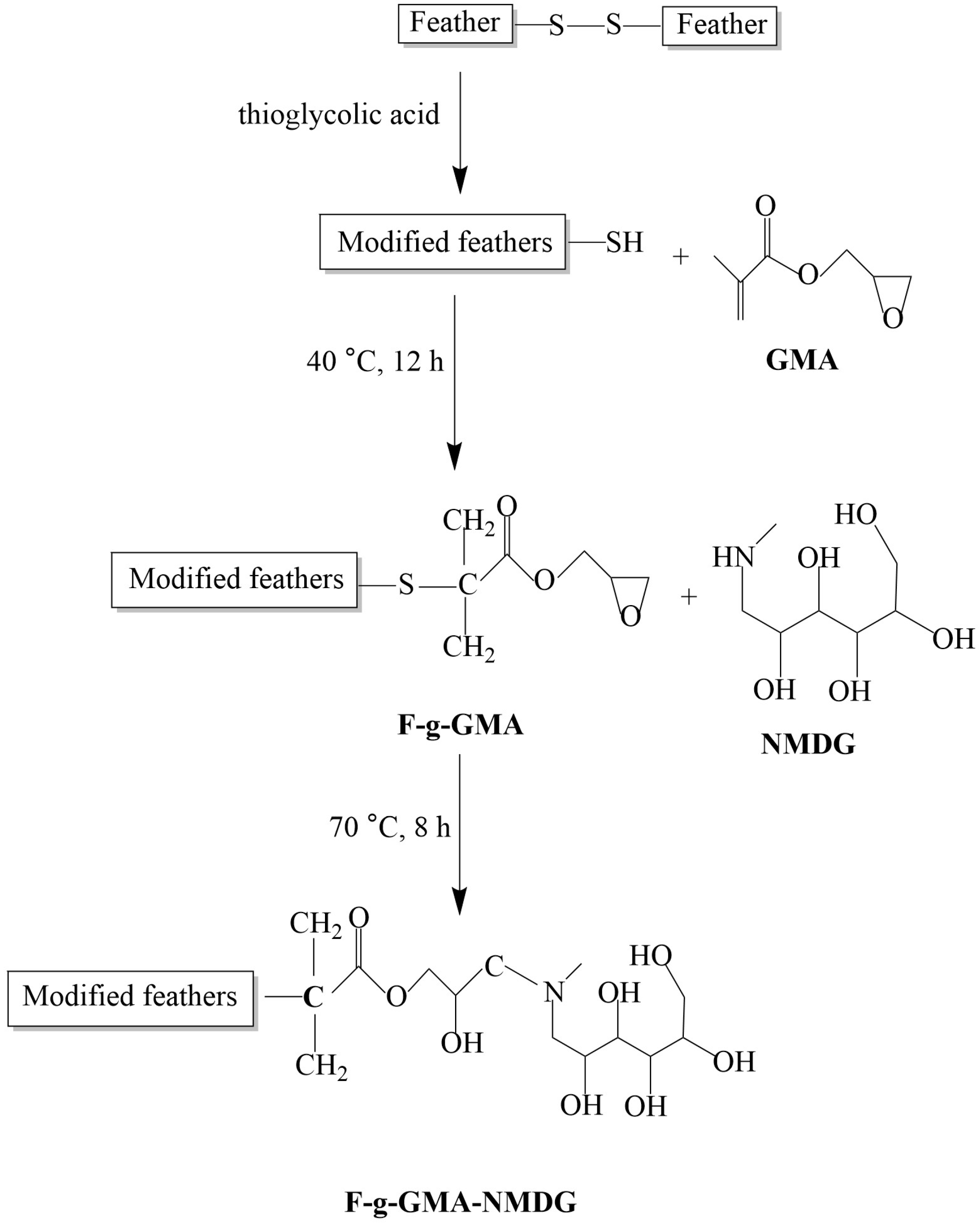Polymers 16 01365 g001