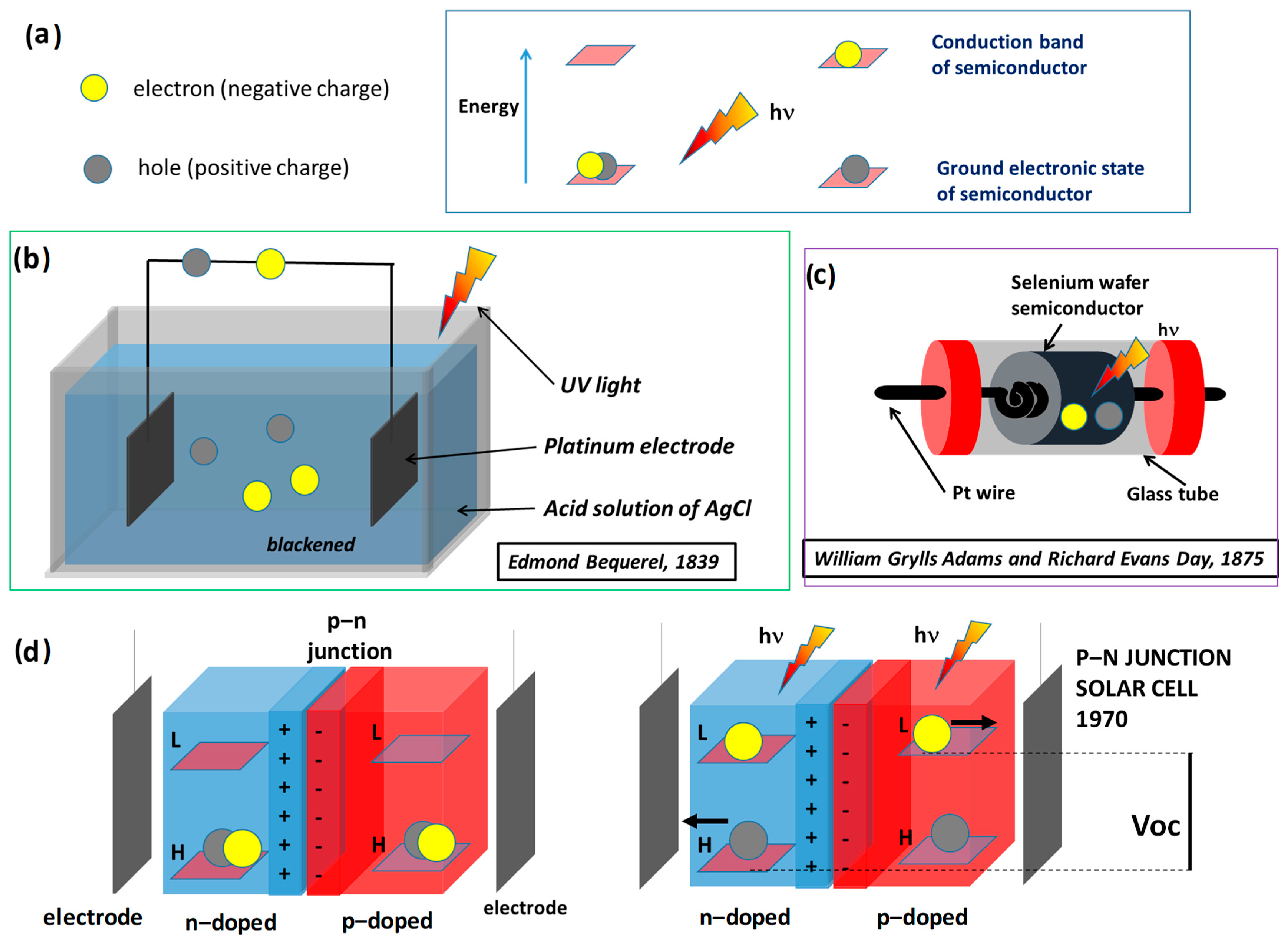 Polymers 16 01407 g003