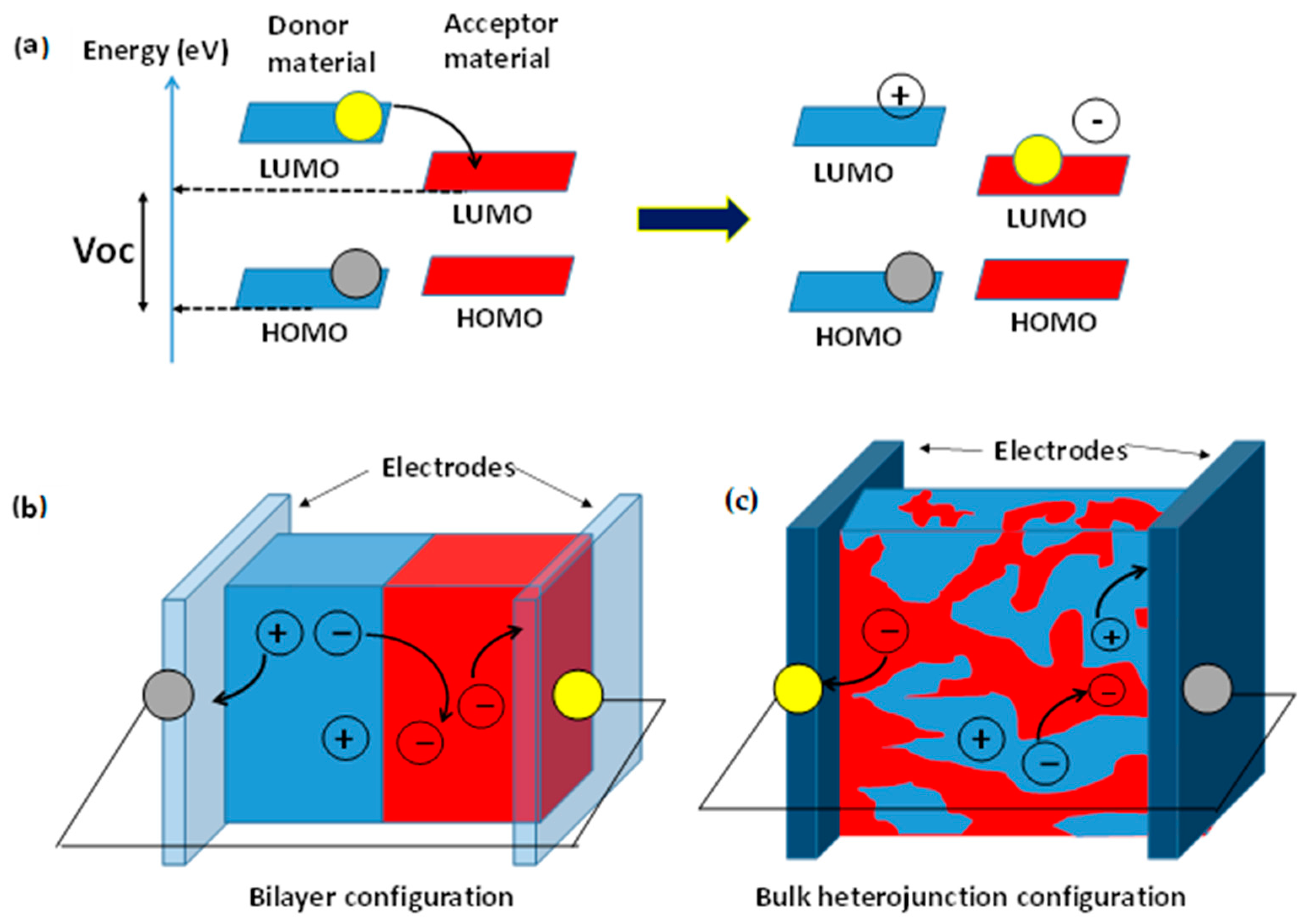 Polymers 16 01407 g004