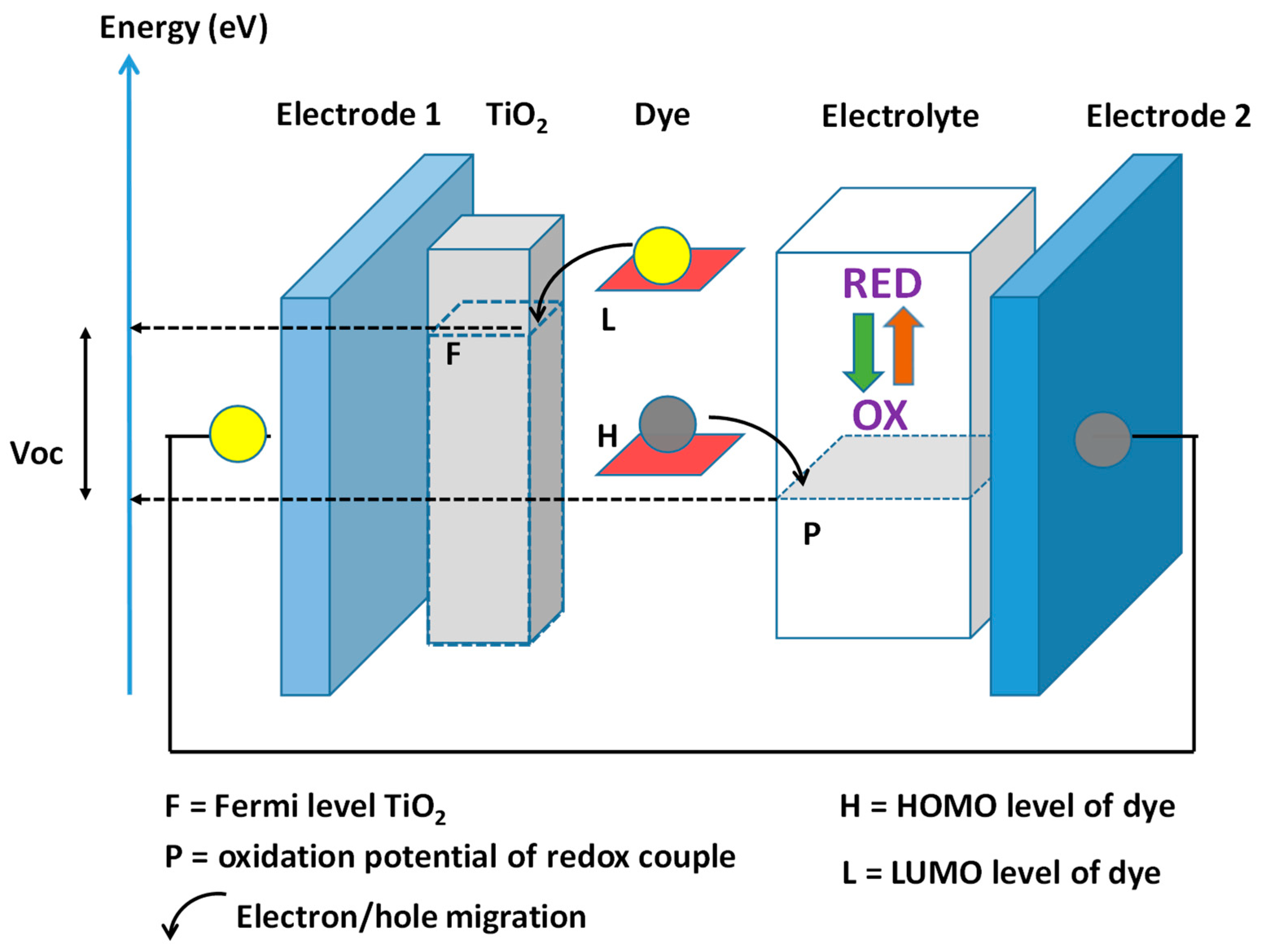 Polymers 16 01407 g007