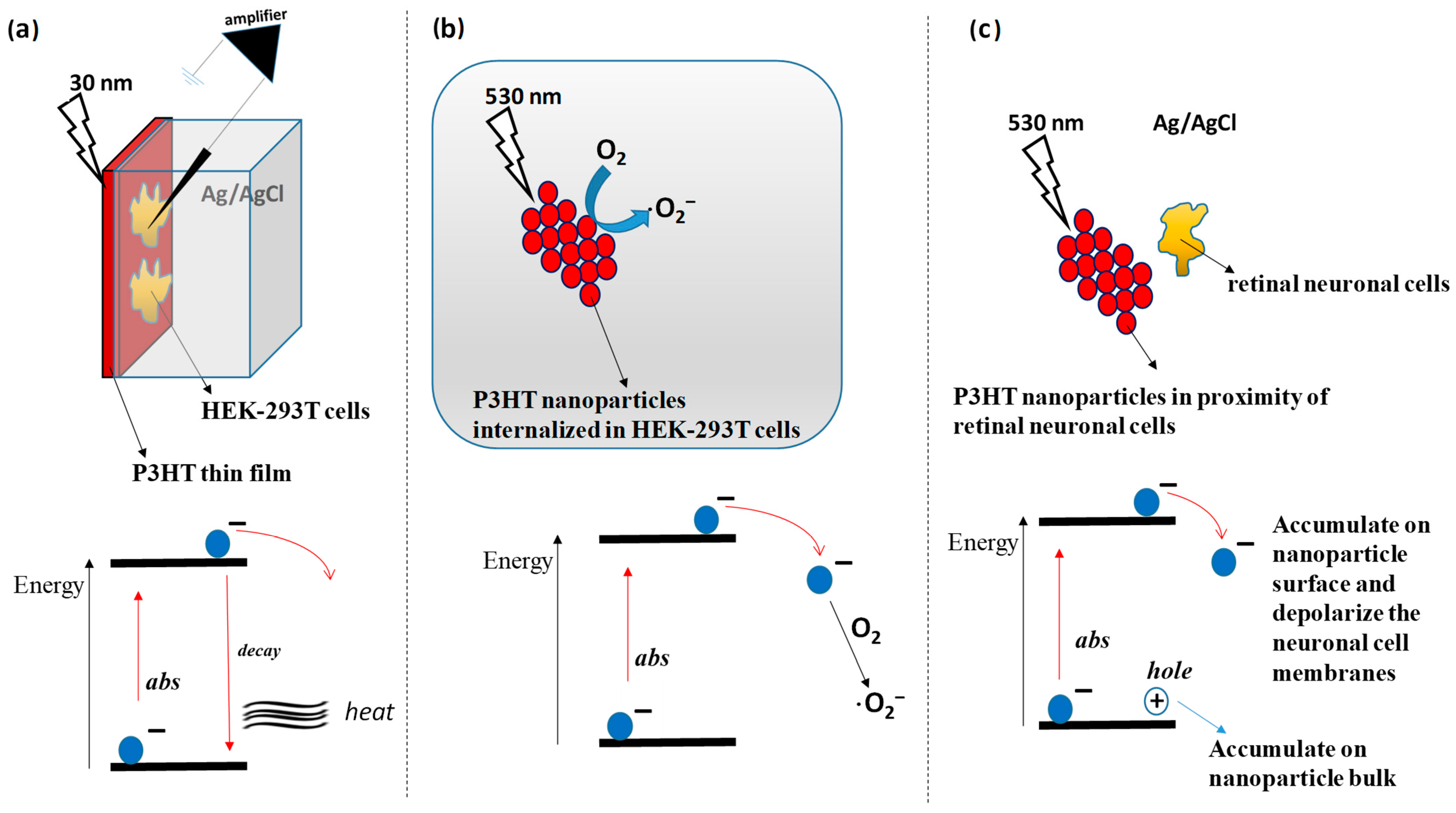 Polymers 16 01407 g009